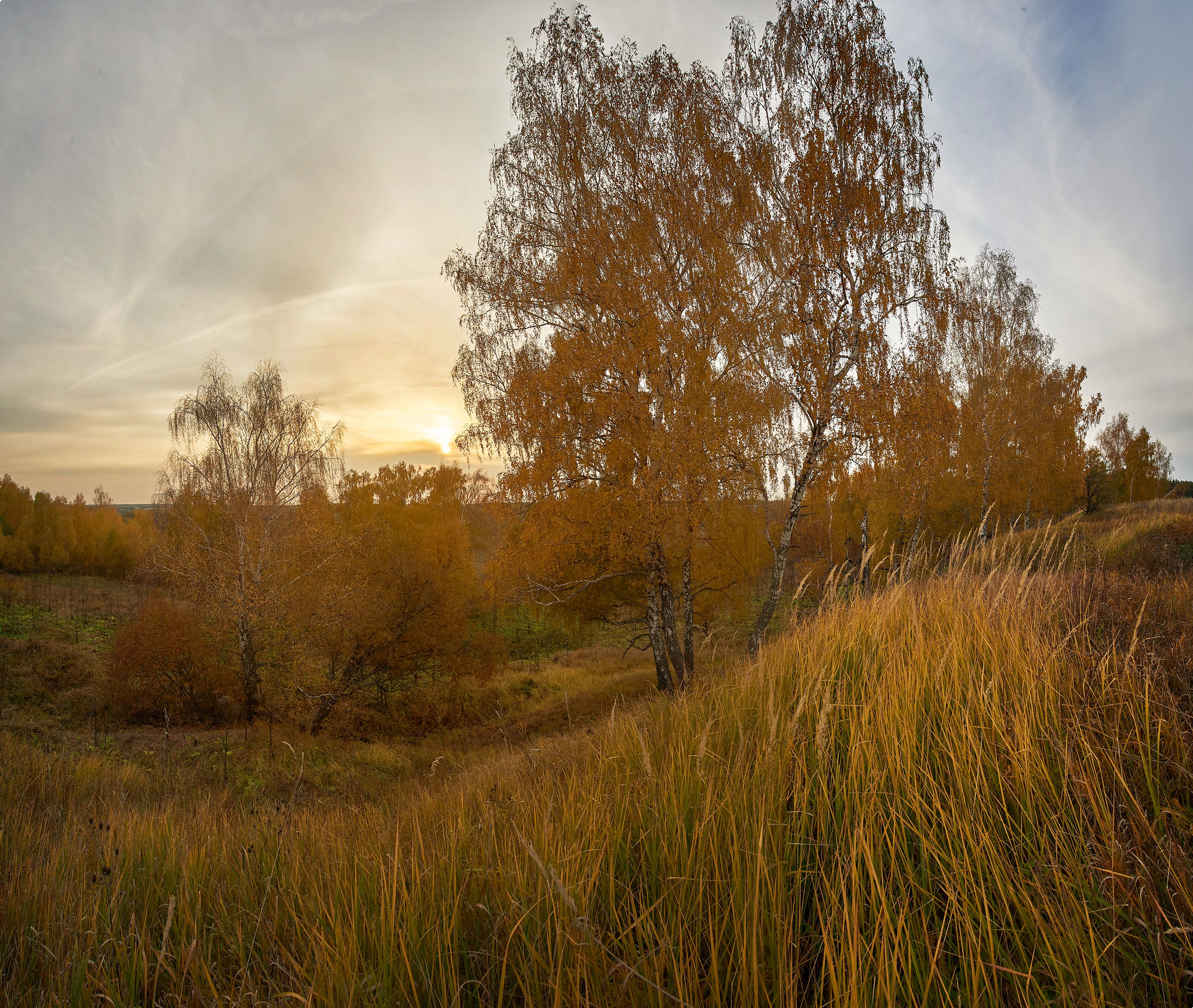 , Бурцев Дмитрий