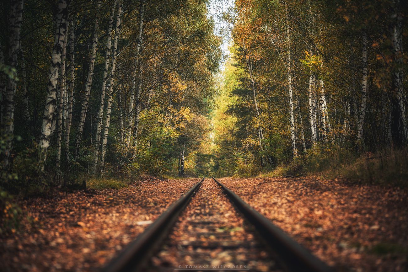 landscape, poland, light, autumn, awesome, amazing, sunrise, sunset, lovely, nature, travel, trees, railroad, leaves, colors, forest, Tomasz Wieczorek