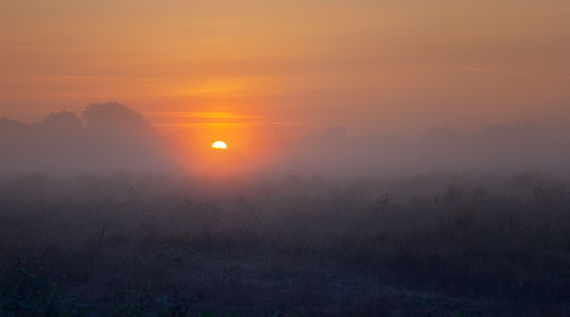 рассвет, туман, утро, солнце, dawn, fog, morning, sun, Виктор Тулбанов