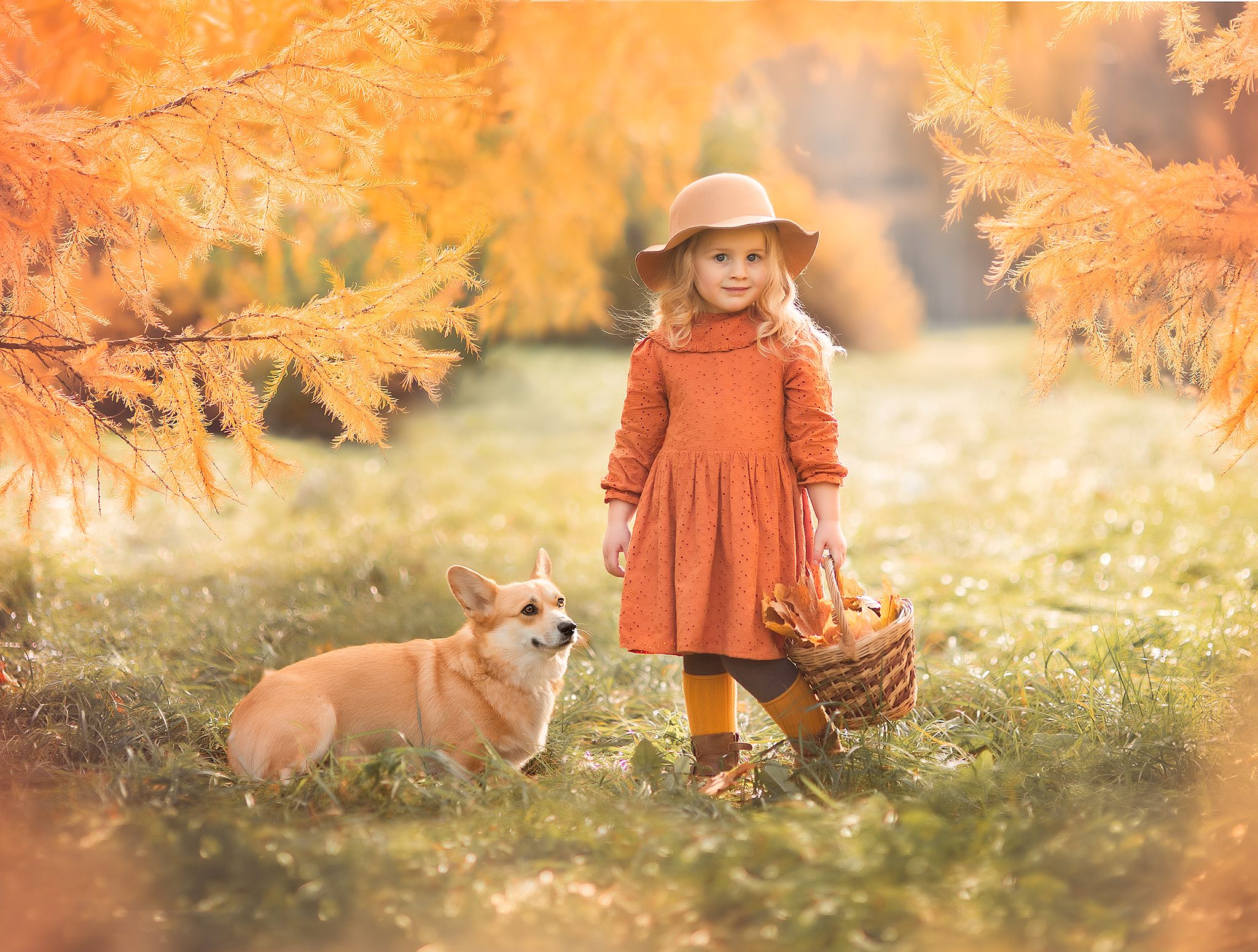 елена мамрукова, детский фотограф, осенняя фотосессия, осень, собака, природа, золотая осень, Елена Мамрукова