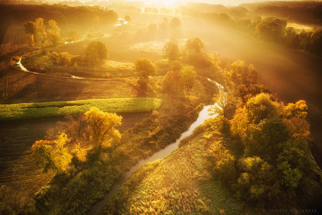landscape, poland, light, autumn, awesome, amazing, sunrise, sunset, lovely, nature, travel, drone, trees, orange, shadows, dji, river, honey, Tomasz Wieczorek