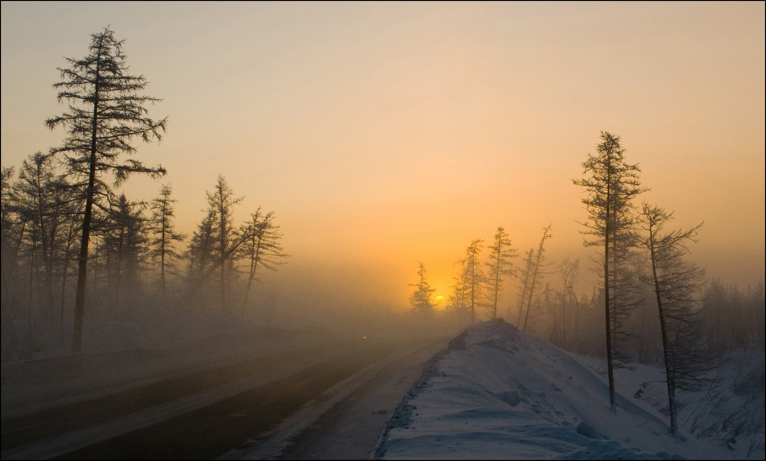 таймыр, Владимир