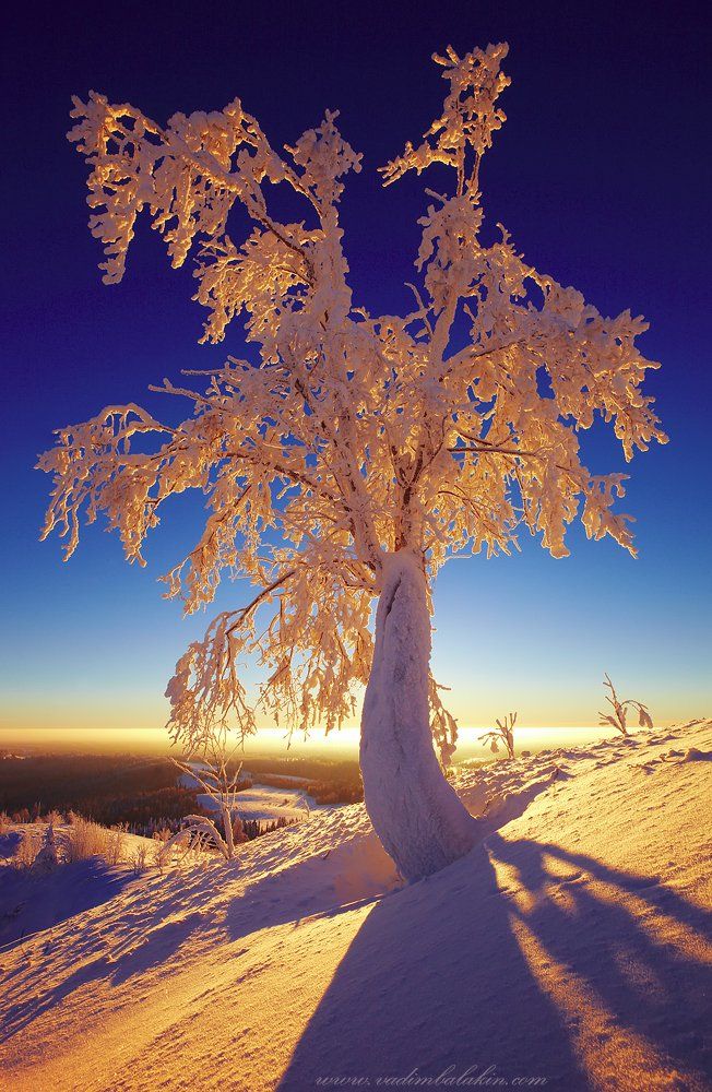 белая гора, дерево, зима, пейзаж, урал, Вадим Балакин