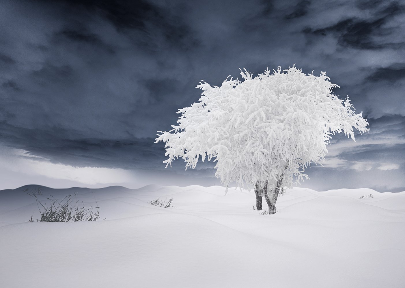 2014, claus, manipulation, new year, santa, snow, white, winter, wish, bascket, clouds, cold, cross, deer, frozen, manipulation, mounting, old, photoshop, psd, searching, sky, snow, stone, tree, tutorials, warm, winter, womman, Caras Ionut