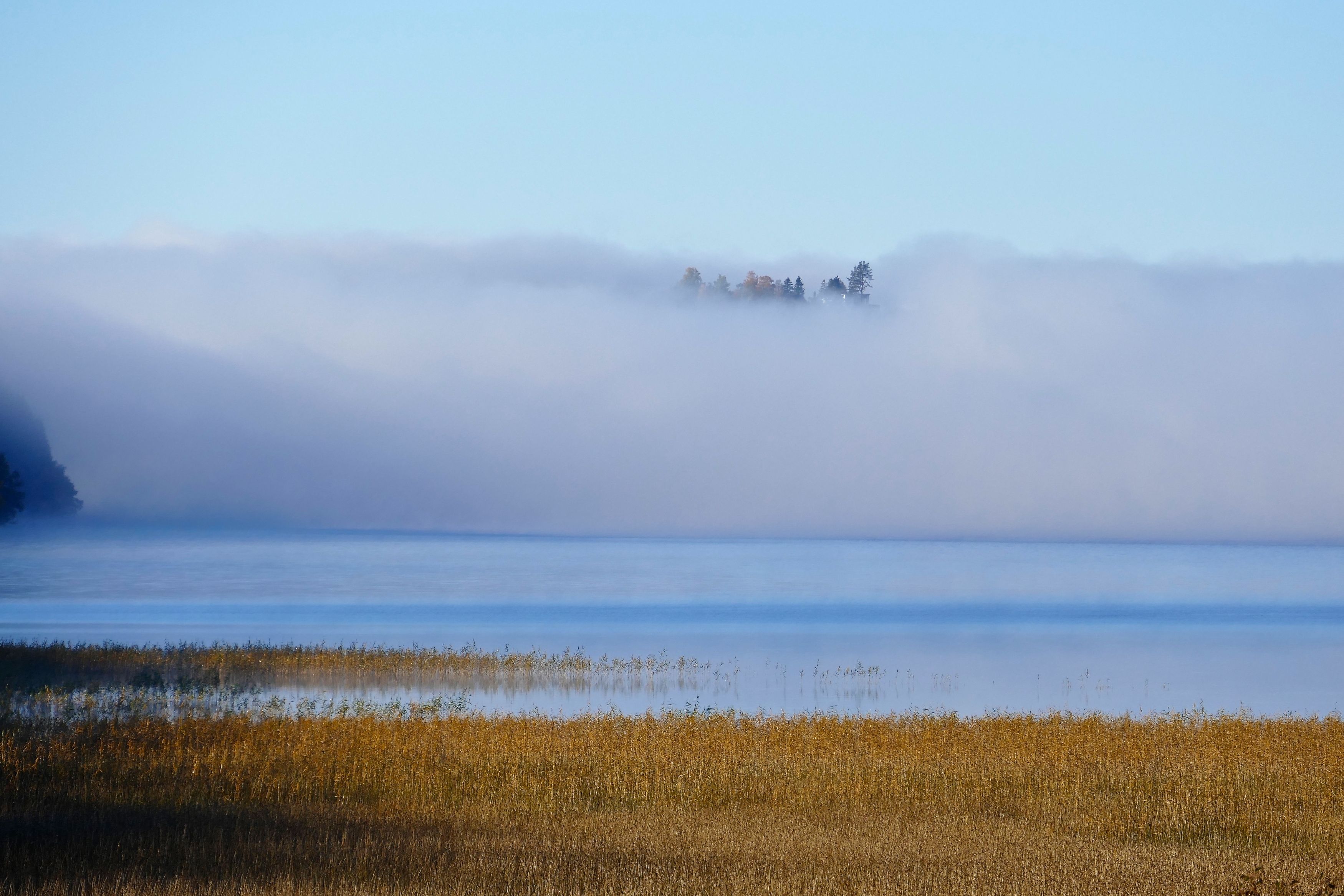 Landscape, nature, Autumn, Fall, fog, mist, forest, lake, water, straw, colors, осень, туман, Norway, , Svetlana Povarova Ree