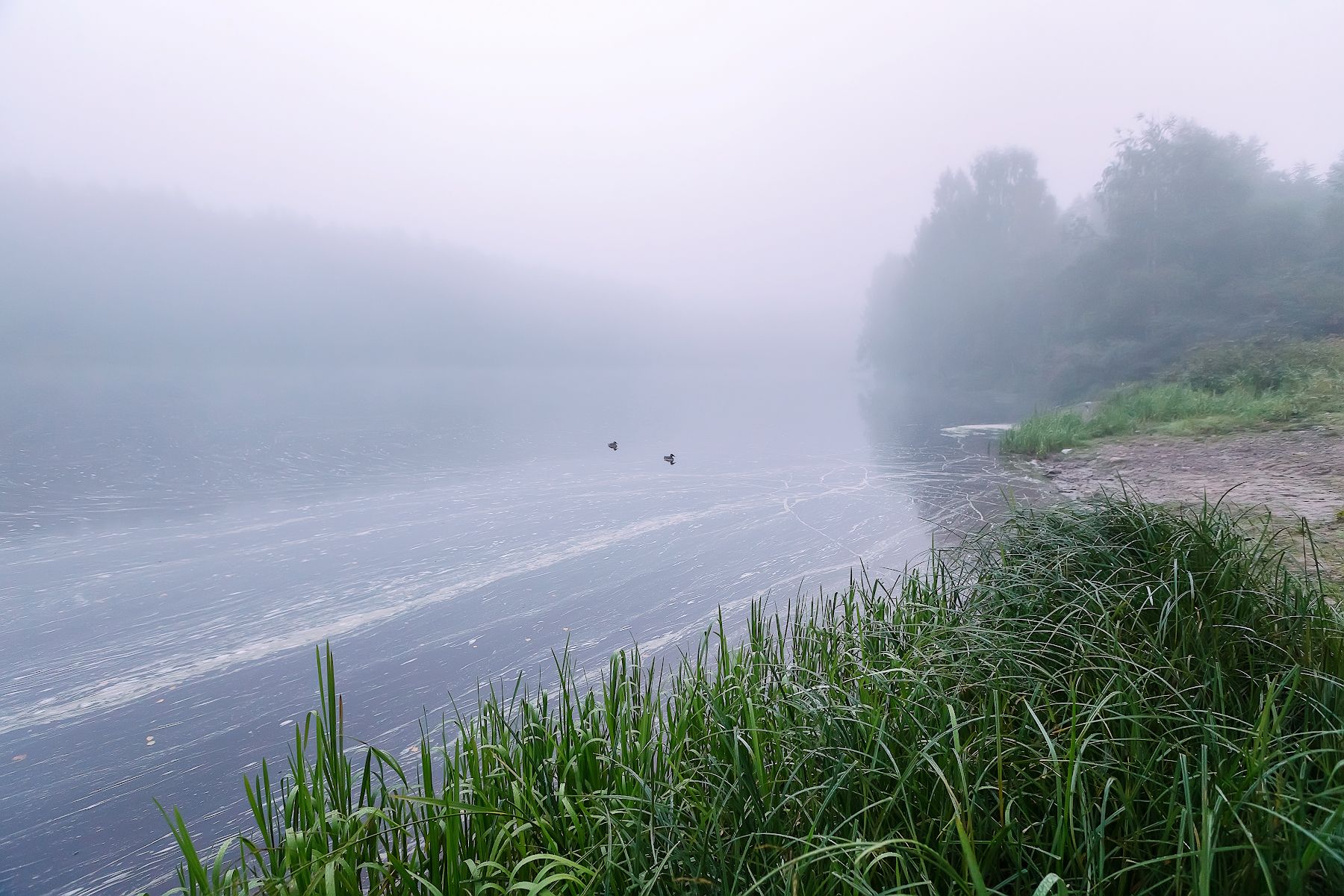 река,туман, Ярослав Лукьянов