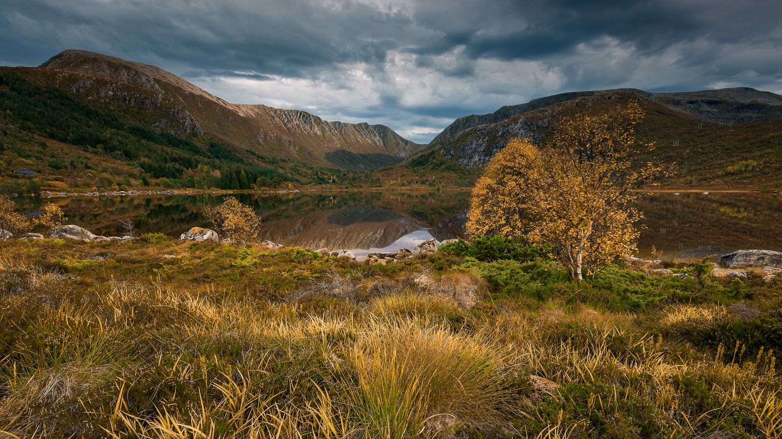 autum,fall,norway,mountains, Tomek Orylski