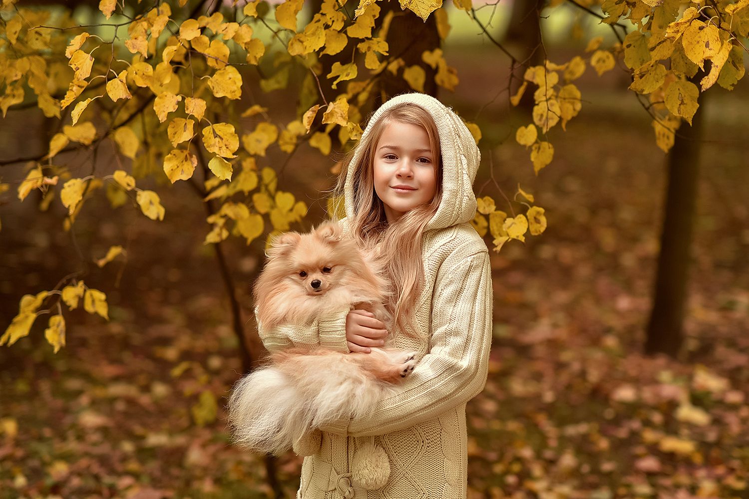 детский портрет, осень, дети, краски осени, дети и животные, прогулка, Светлана Леонова
