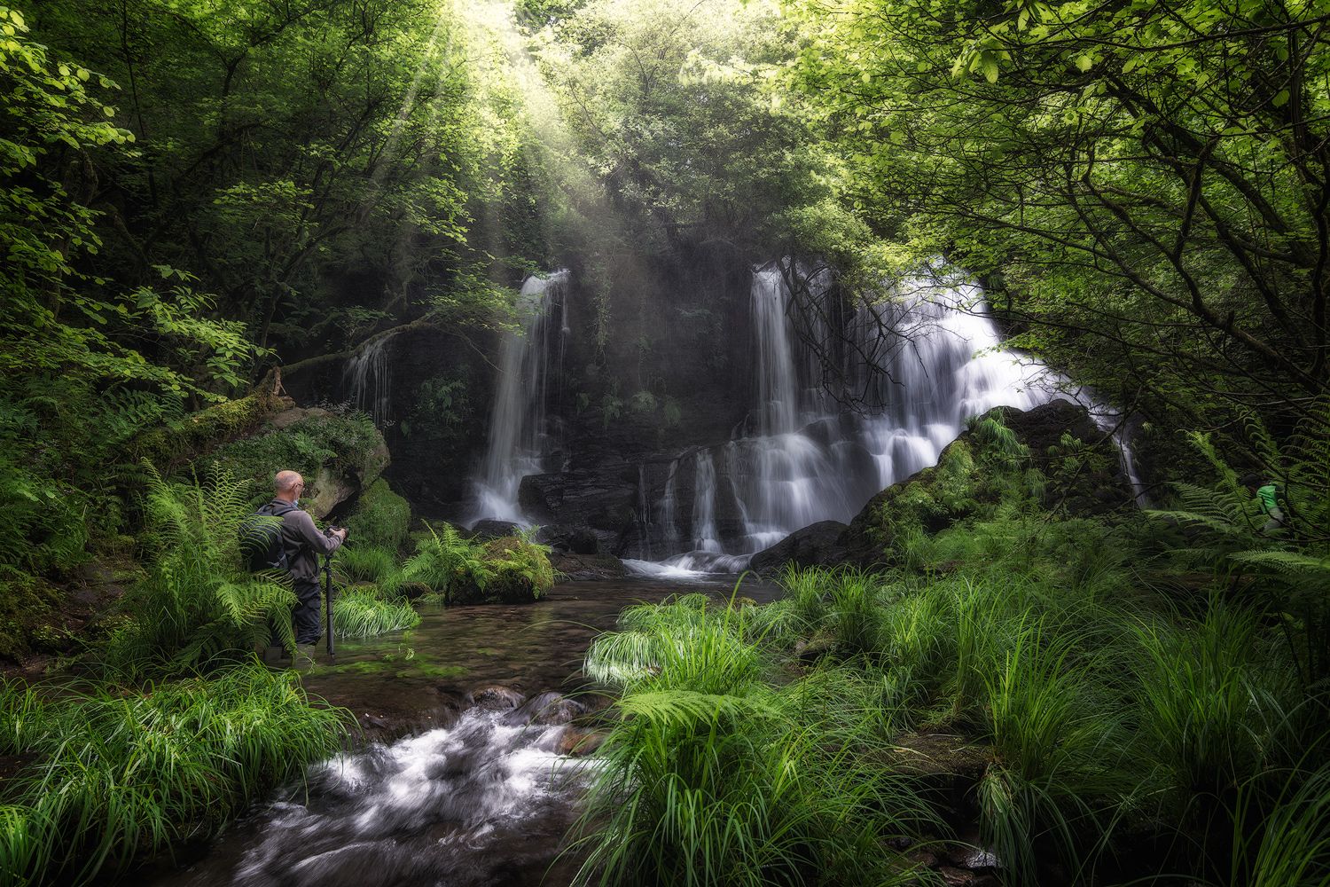 waterfall water wood forest green sun, SORAYA SAMPEDRO