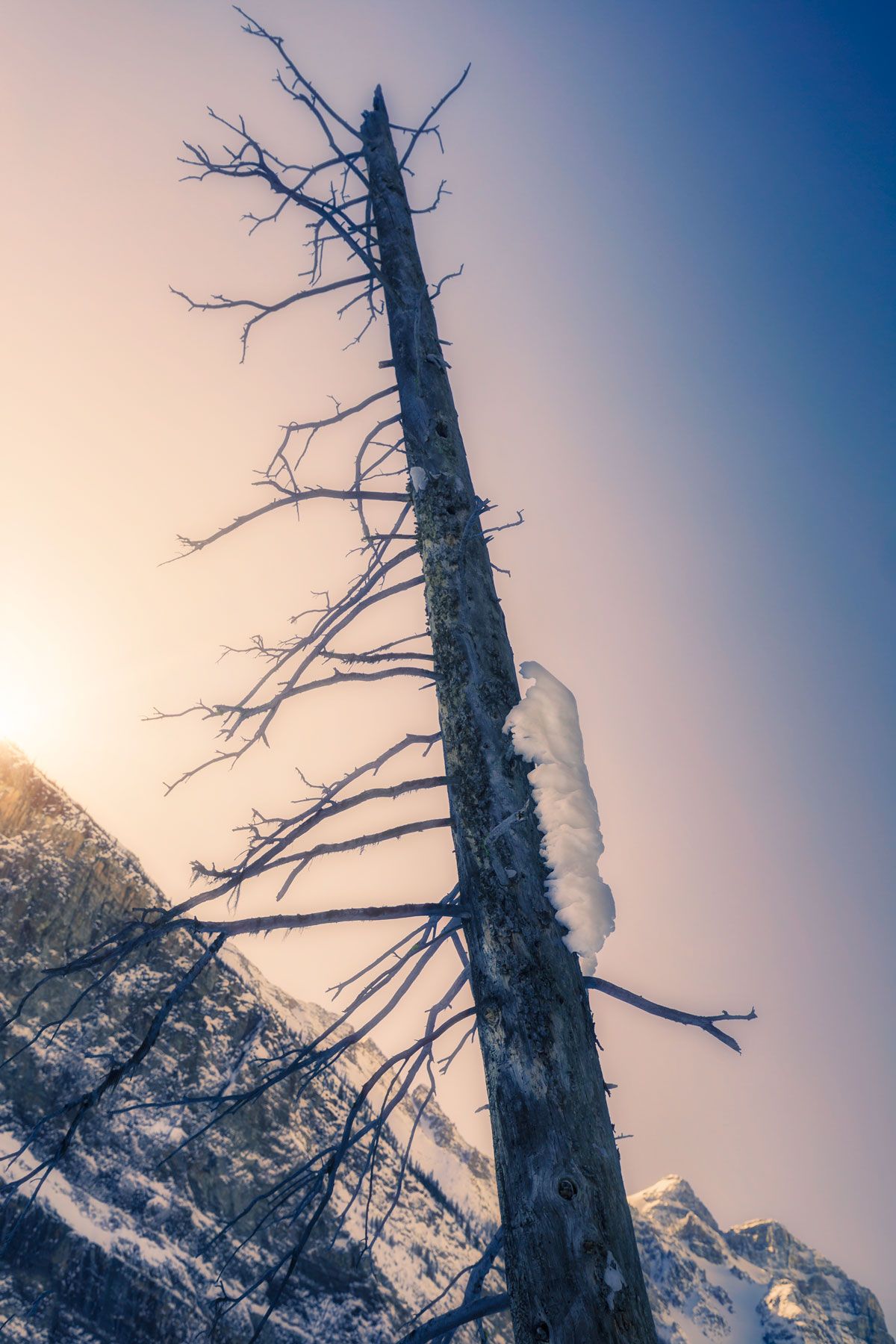 landscape, winter, sunrise, tree, cold, worm, insect, pest, cloud, sky, branch, sunshine, mood, colourful, Huapu Zhao