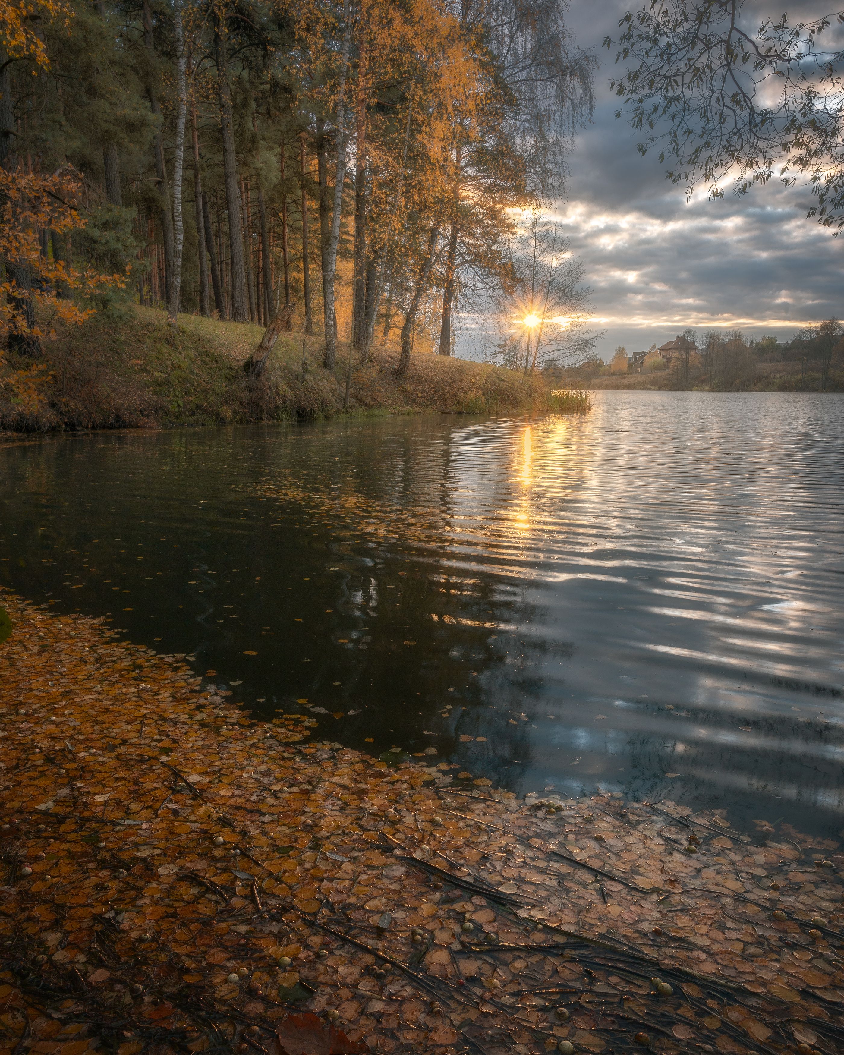 закат, солнце, природа, осень, пейзаж, Московская область, Мартыненко Дмитрий