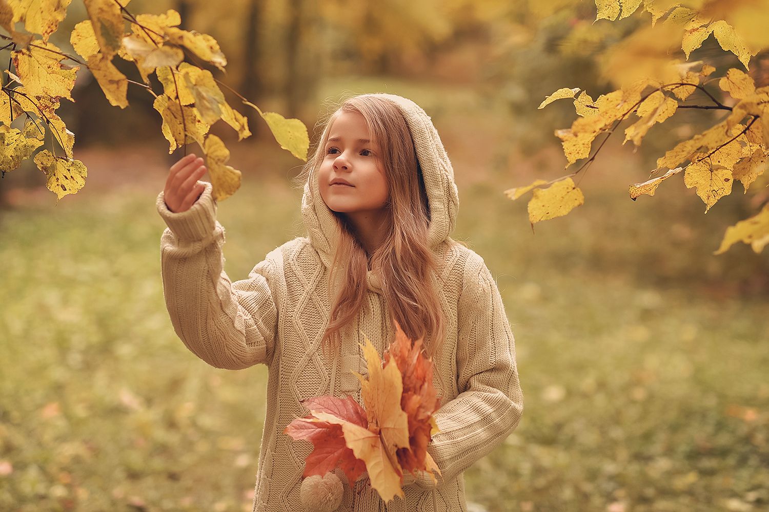 детский портрет, осень, дети, краски осени, Светлана Леонова