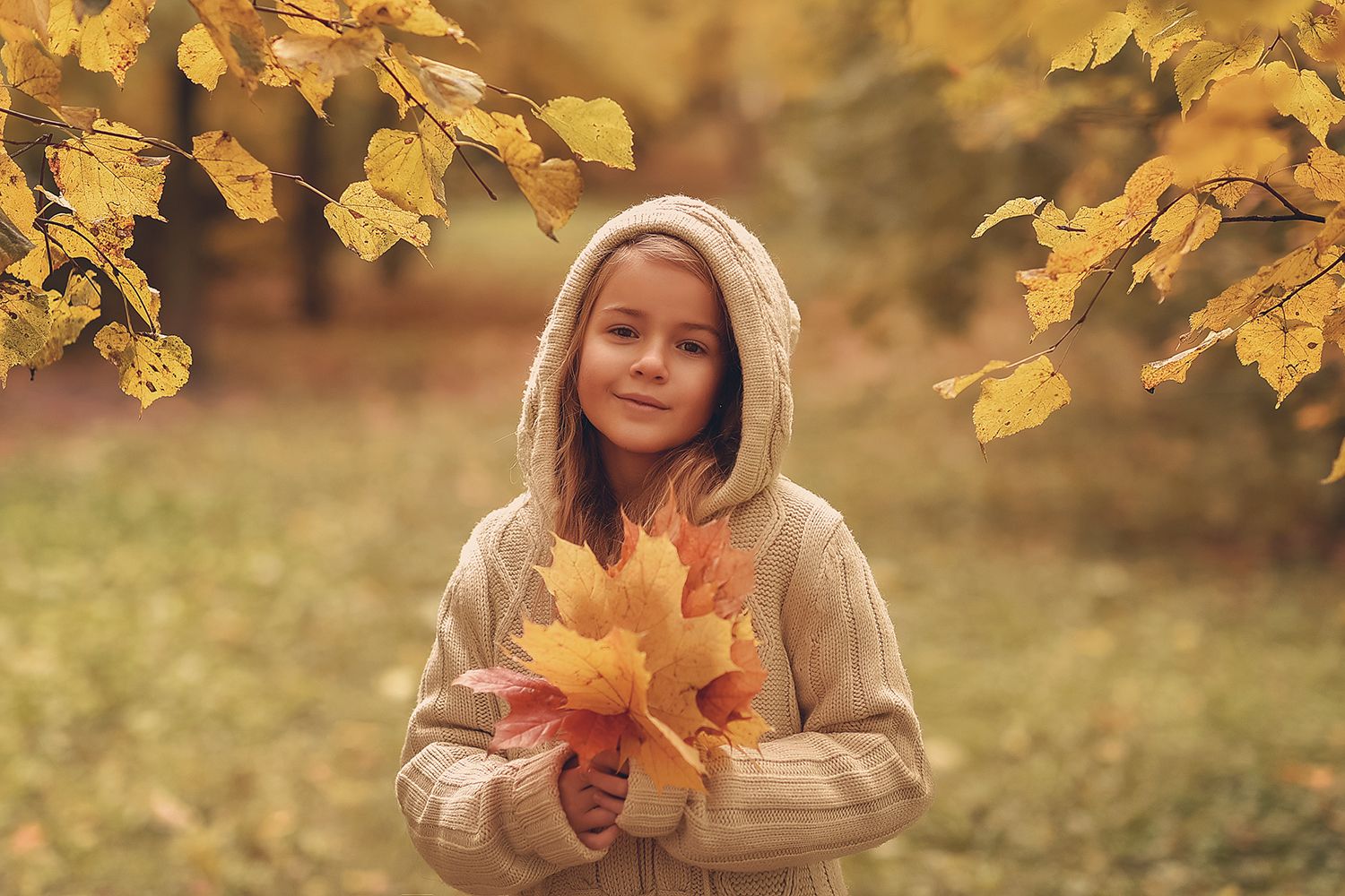 детский портрет, осень, дети, краски осени, прогулка, Светлана Леонова