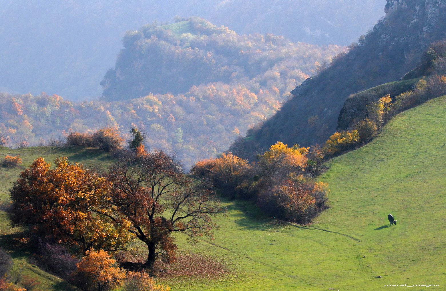 Утро в горах Дагестана осенью