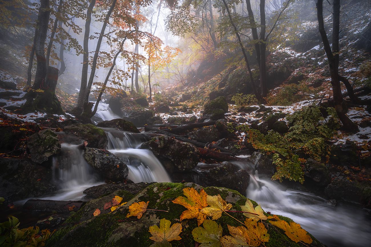landscape nature scenery forest wood autumn mist misty fog foggy river waterfall colors mountain vitosha bulgaria туман лес, Александър Александров