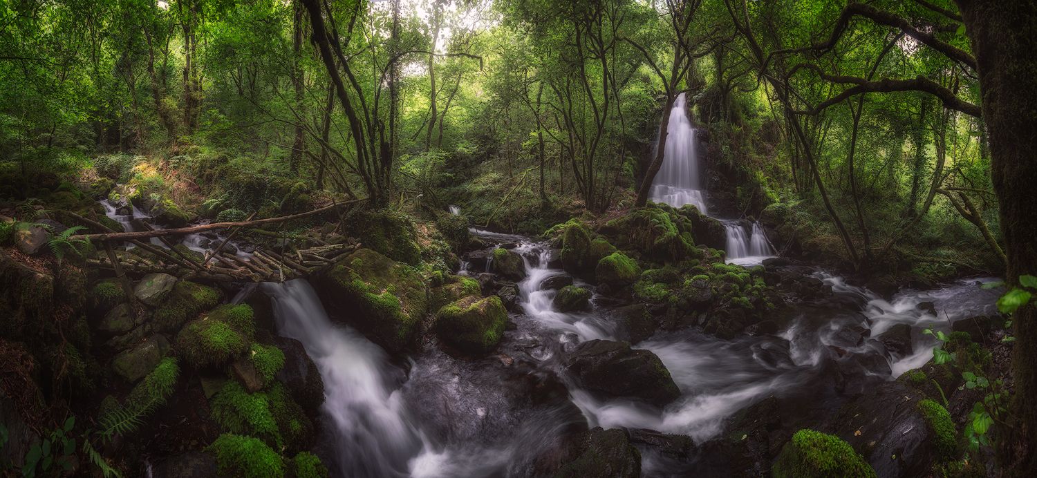 forest, intothewood, waterfall, water, enchanted, green, tree, bridge, wood, SORAYA SAMPEDRO