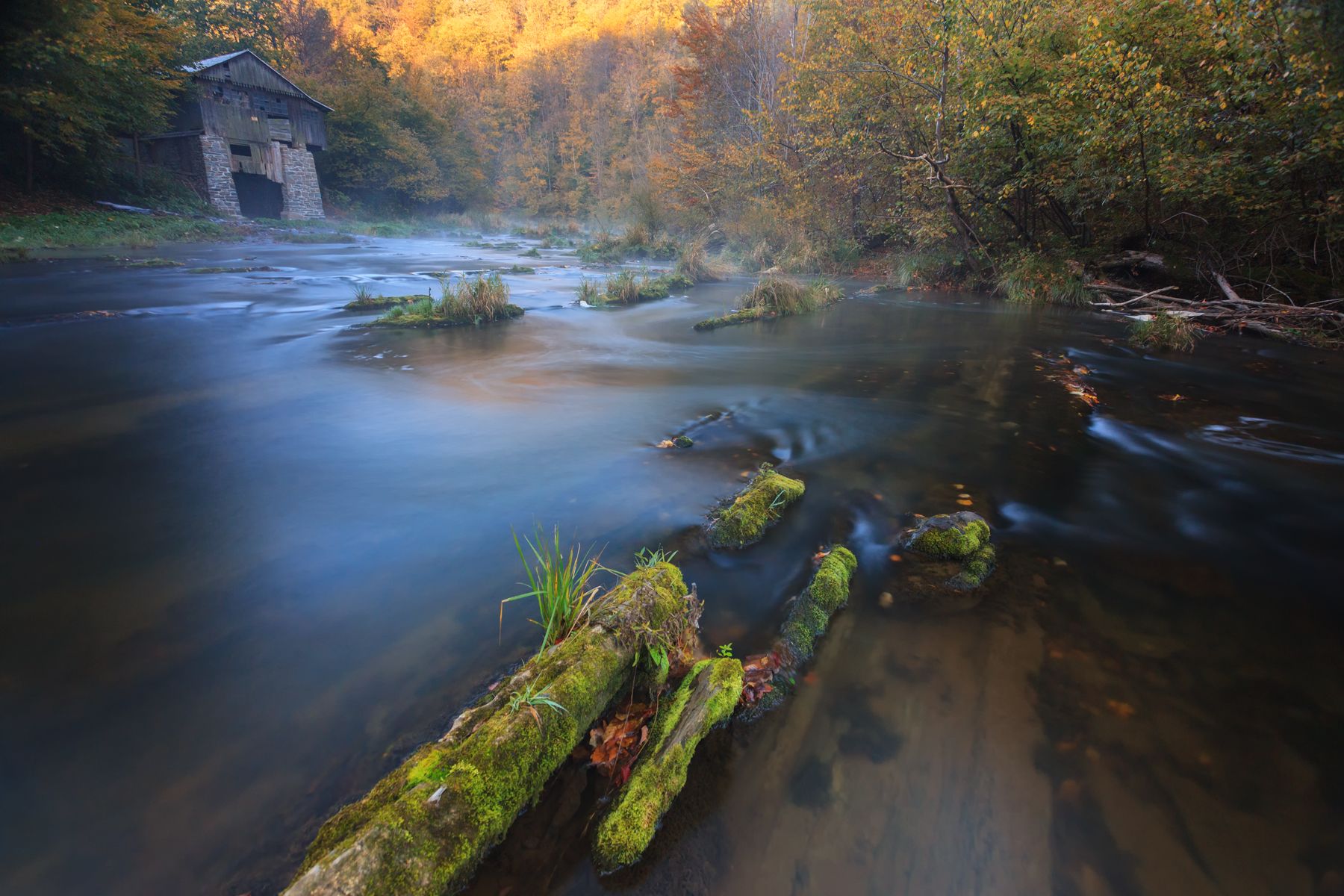 autumn, river, beskid niski,,  Mirosław Pruchnicki