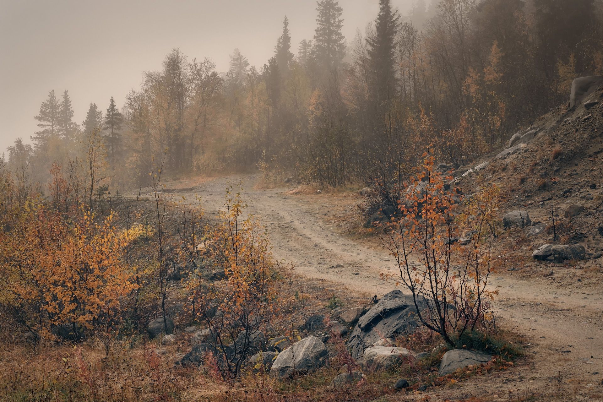 осень, скалы, камни, деревья, лес, желтый, сентябрь, пейзаж, природа, путешествие, заполярье, Андрей Чиж