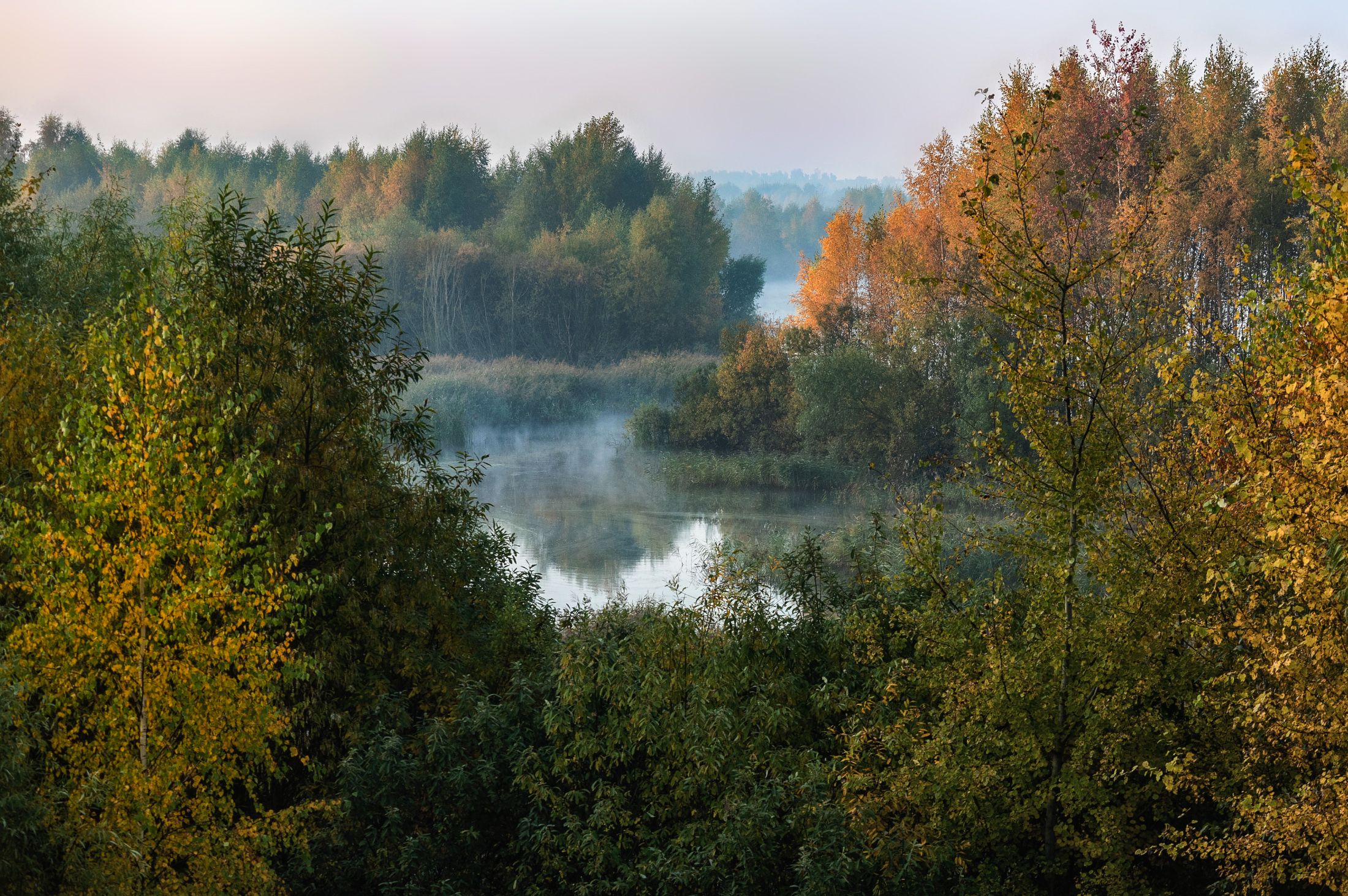 озеро, туман, восход, осень, Владимир Штыриков