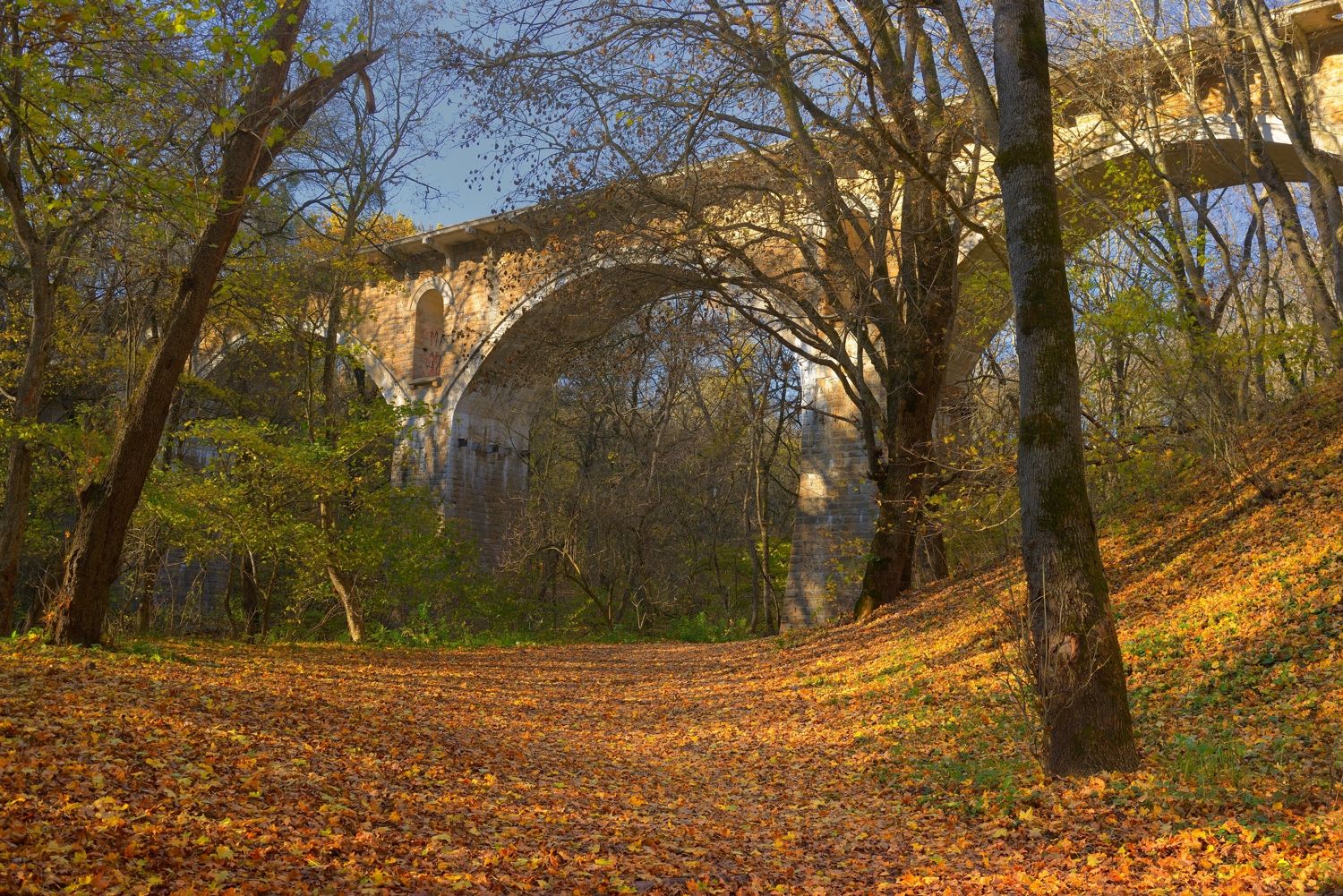 осень листва утро лес мост, Александр Жарников