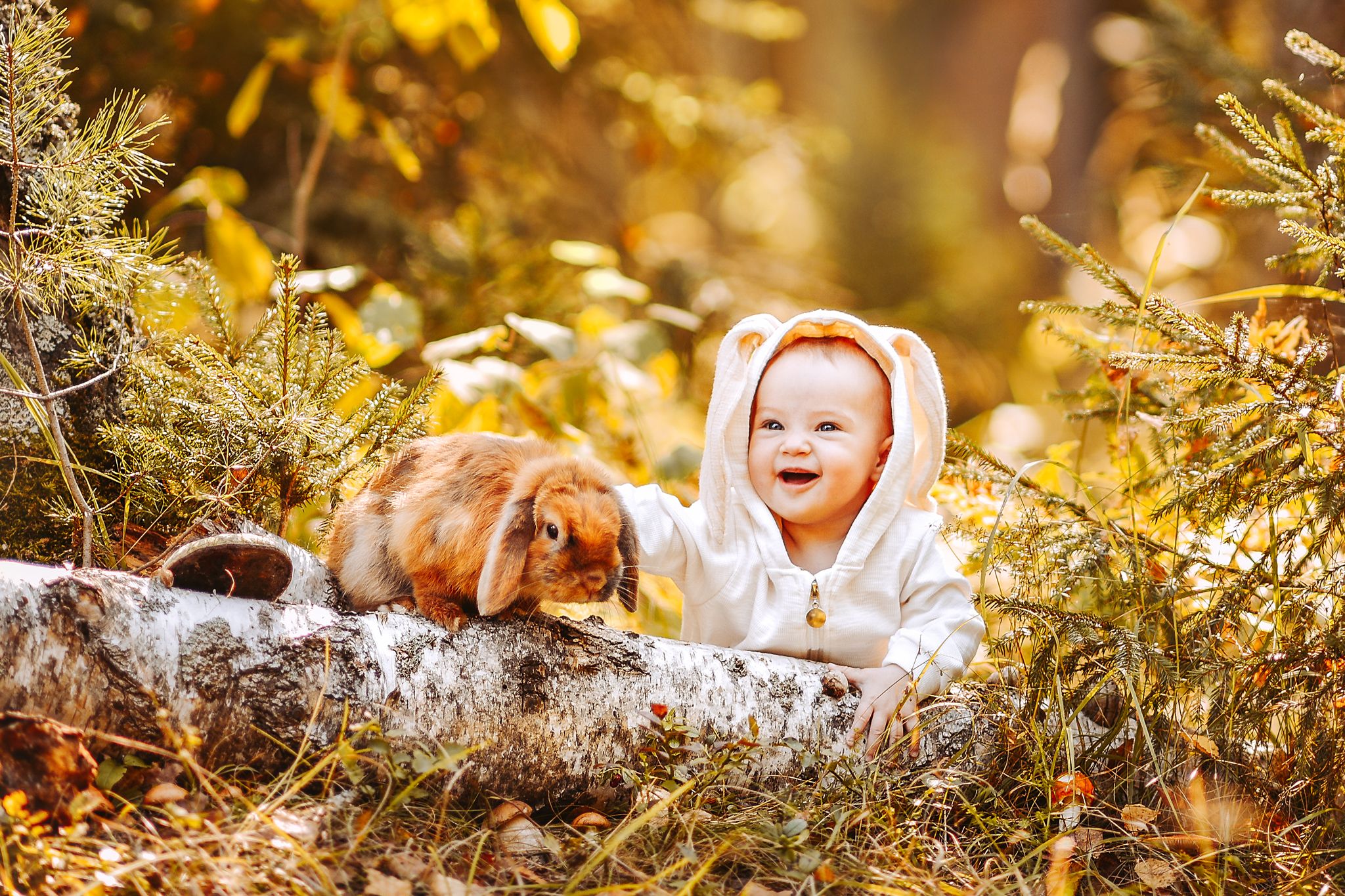 Осень кролик дети ребенок животные, Анастасия Алексеева