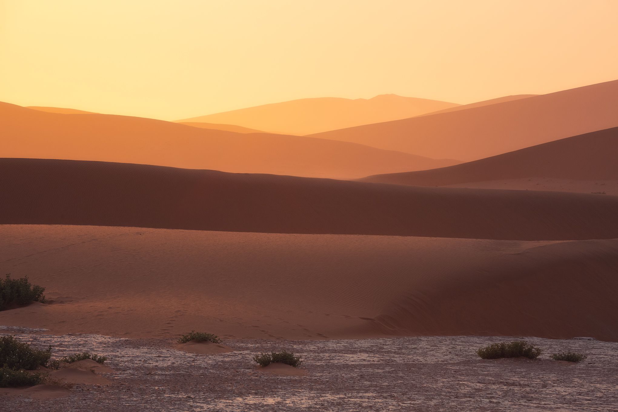 #дюны #намибия #африка #рассвет #воздушная перспектива #цвета #нежность #дедвлей #Deadvlei #ffrica #duna #namibia #sunrise, Наталия Деркач