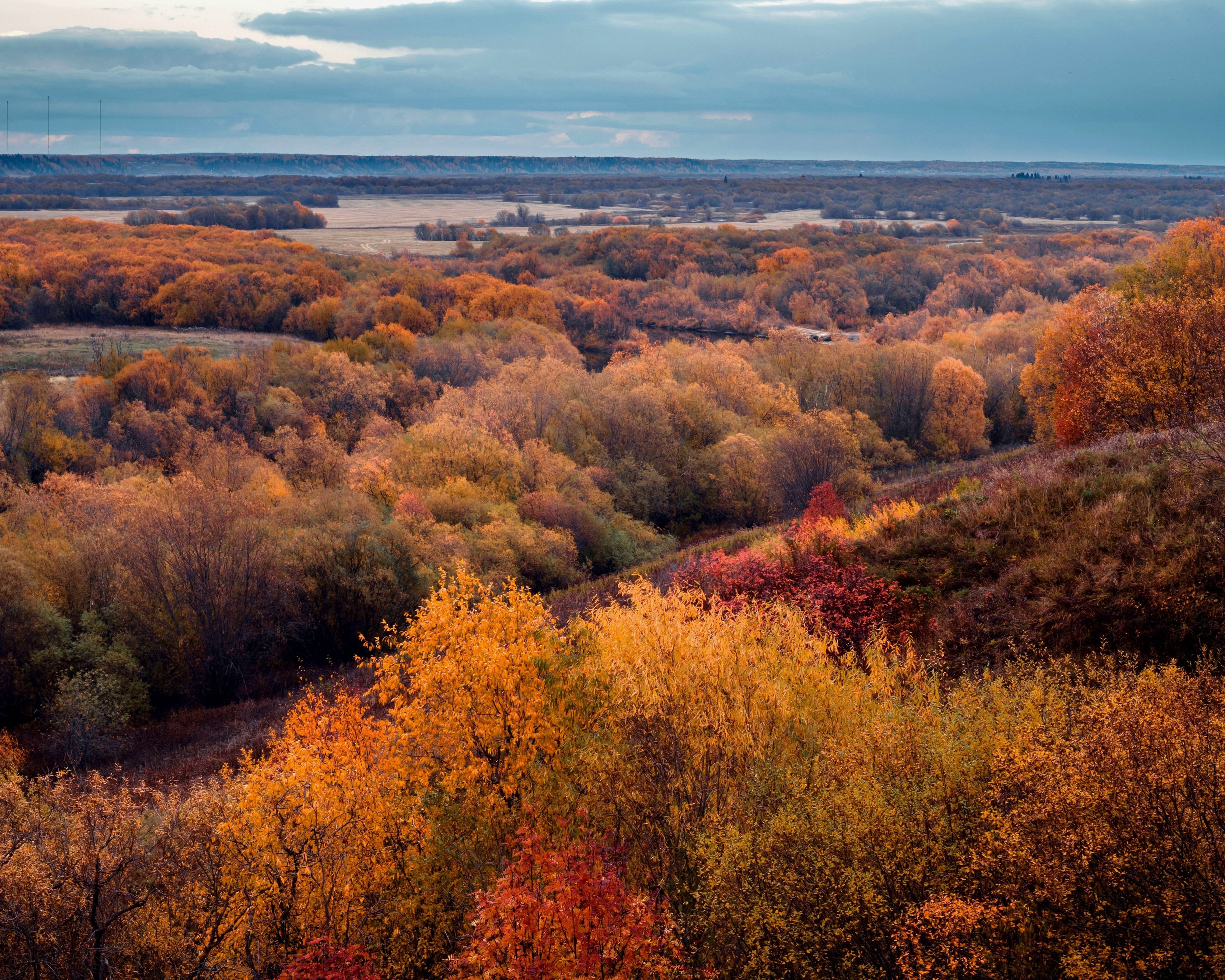 природа, осень, краски, север, деревья, листва, холм, Александр Титов
