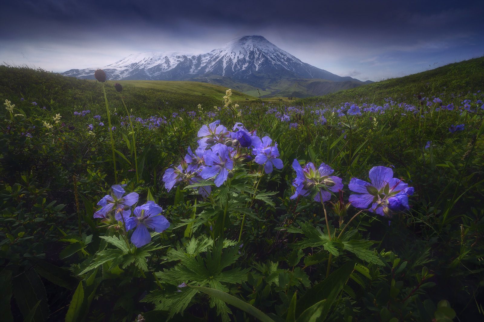 камчатка, Владимир Ляпин