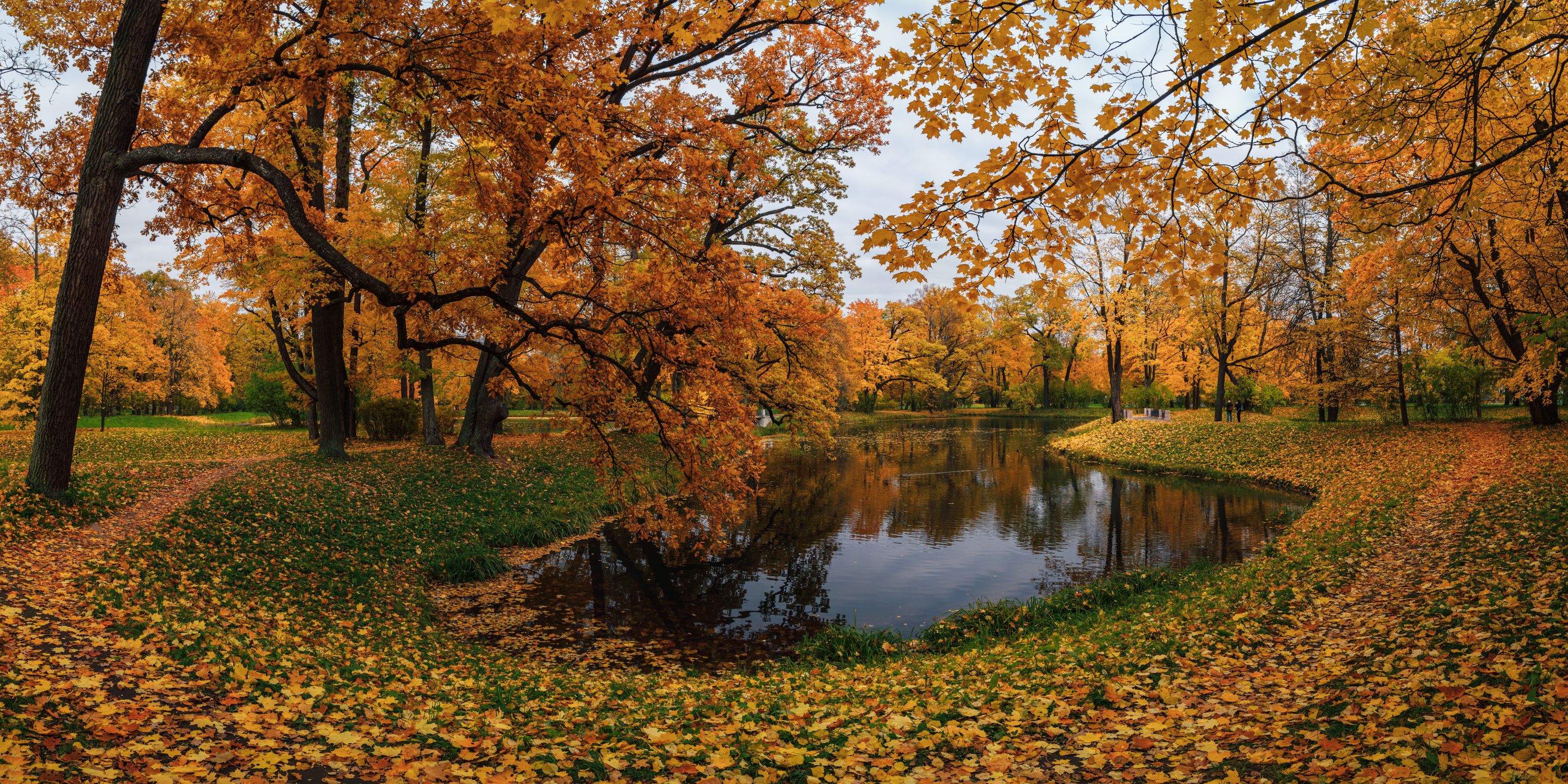 панорама,село,царское,парк, mulden