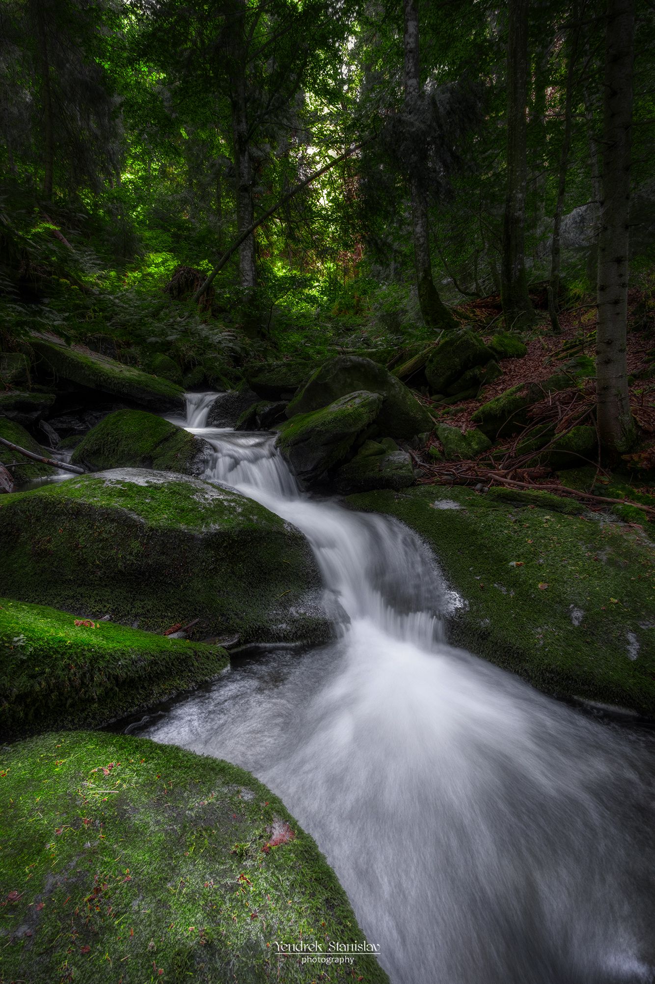 пейзаж вода лес лето ручей landscape water forest summer stream, Stanislav Yendrek