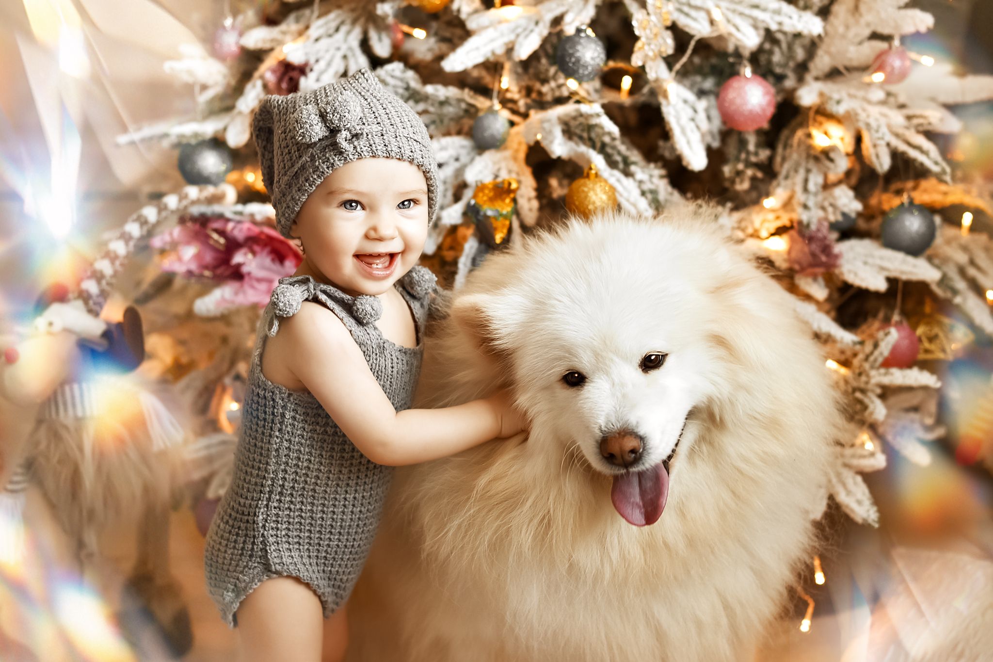  девочка сон новогодний портрет детская сказка собака самоед животные, Анастасия Алексеева