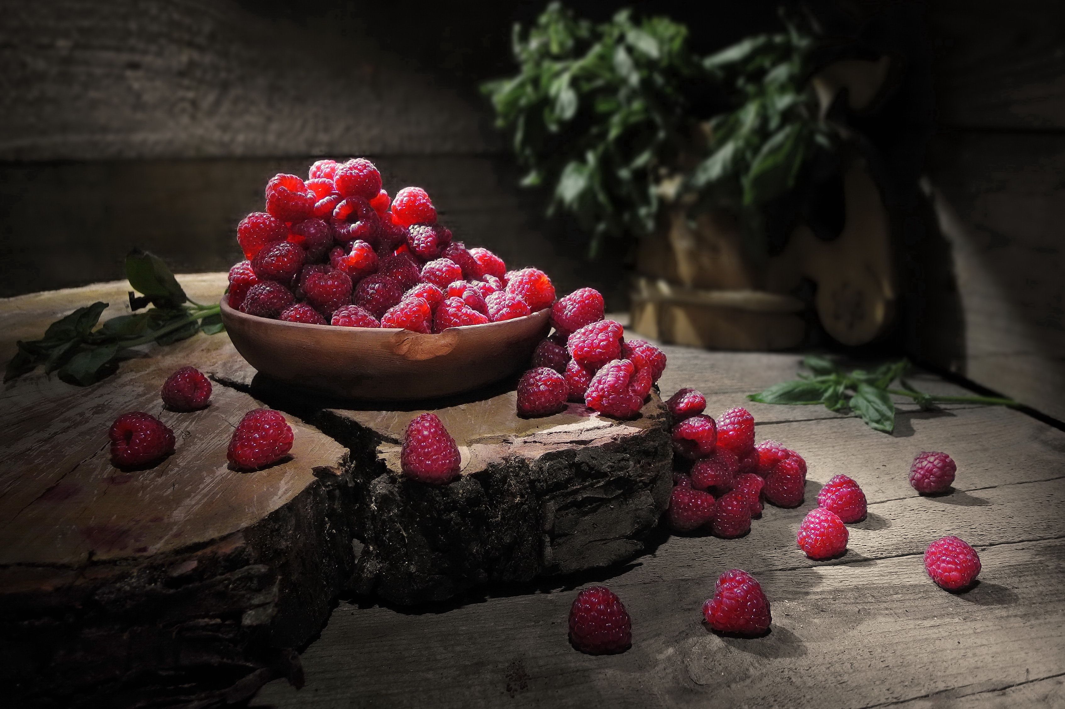 малина ягоды фрукты ежевика сад дача витамины урожай, Сергей Фунтовой