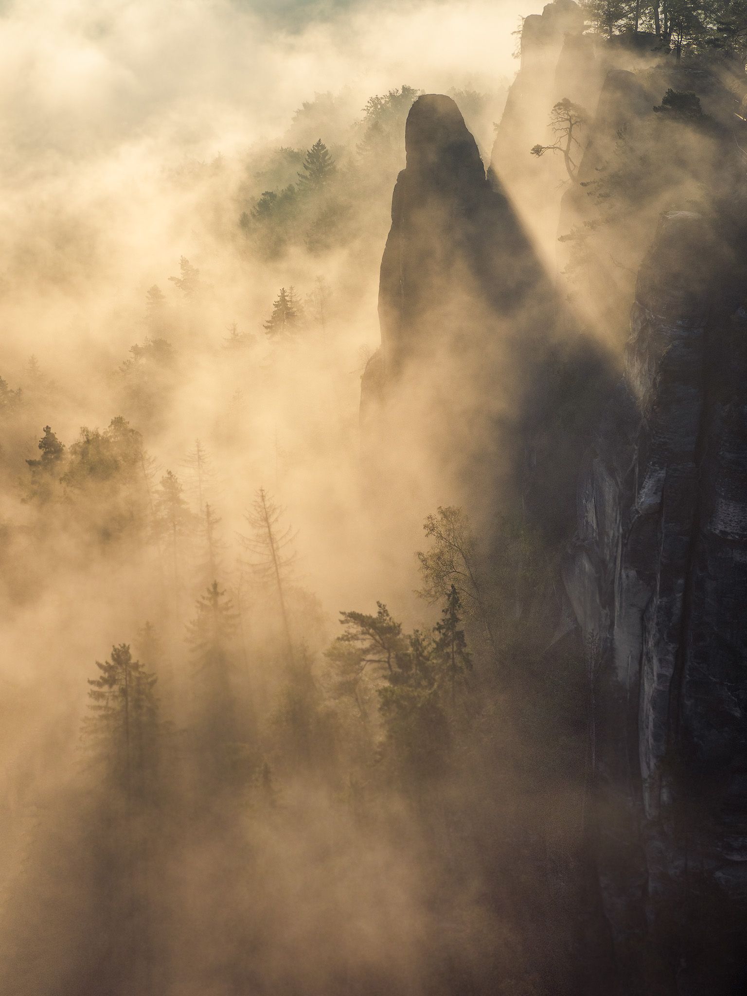 fog, sunrise, landscape, bastei, germany, mountains, moutain, Mateusz Malinowski
