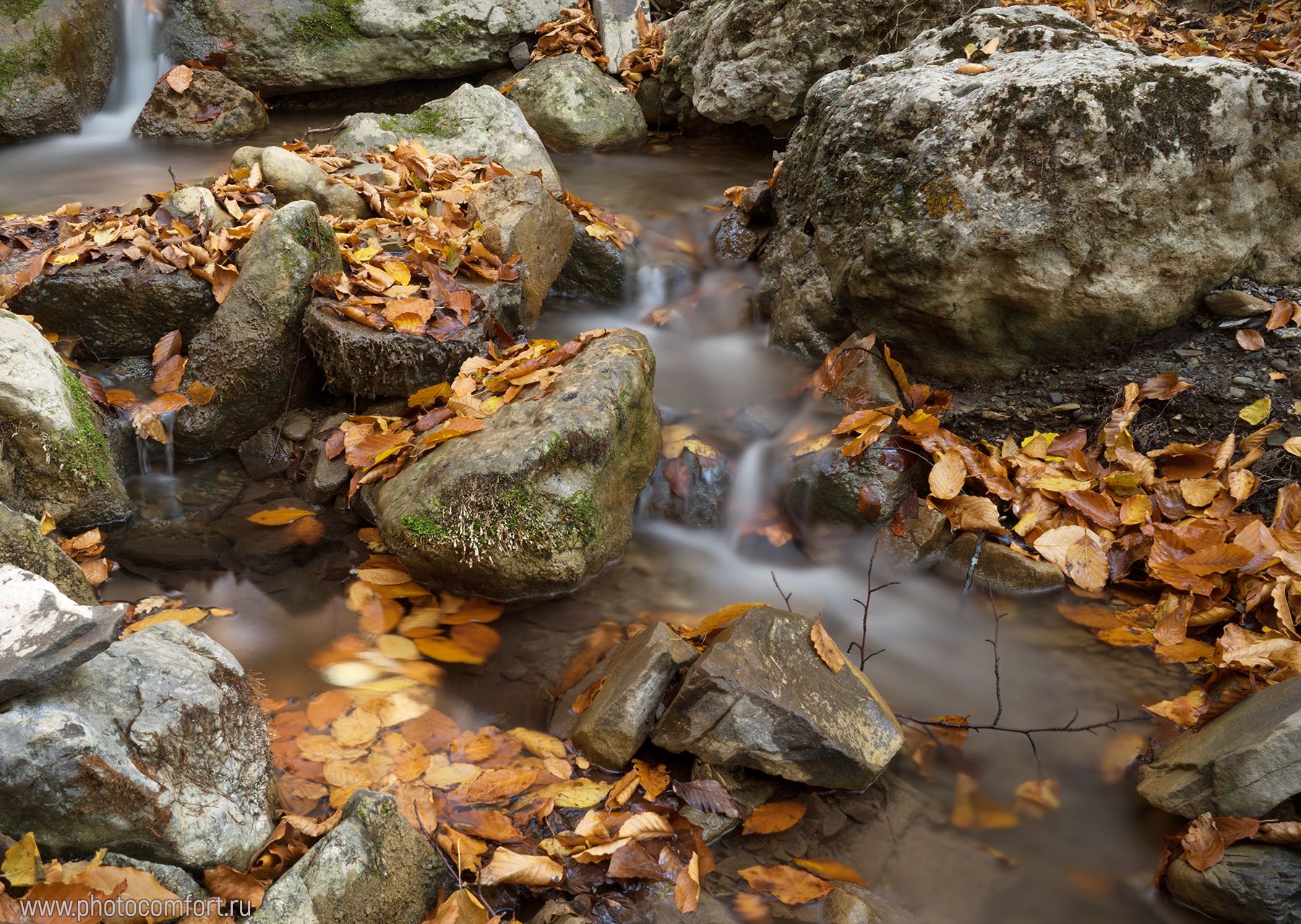 осень, листья, вода, ручей, листья, камин, пейзаж, природа, autumn, red, leaves, stream, Елена Ковригина