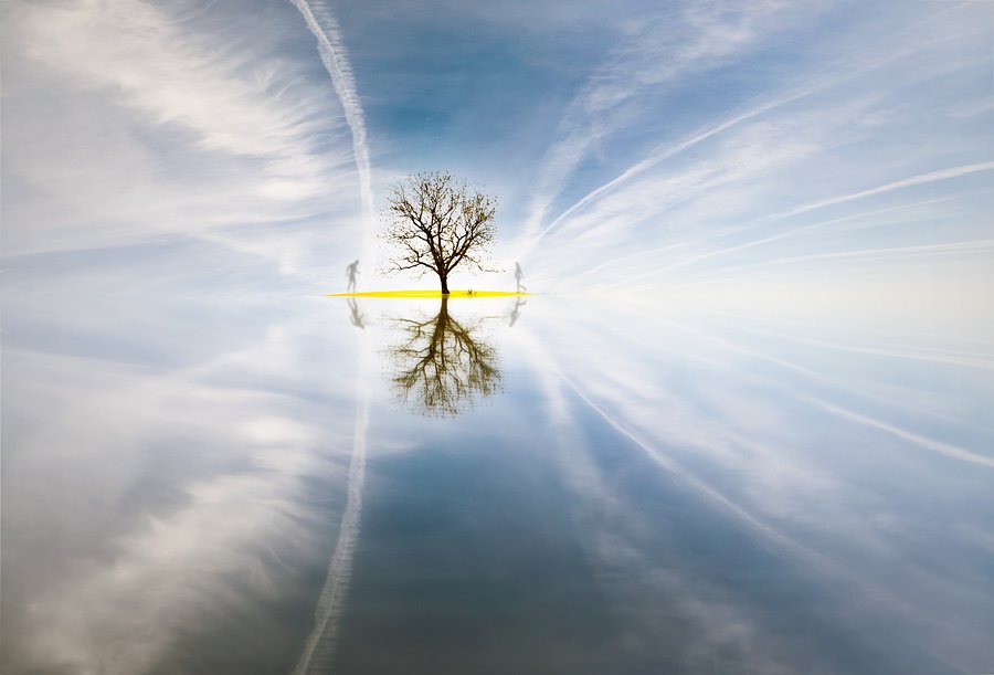 Man, Reflections, Sky, Tree, Valeri Simov