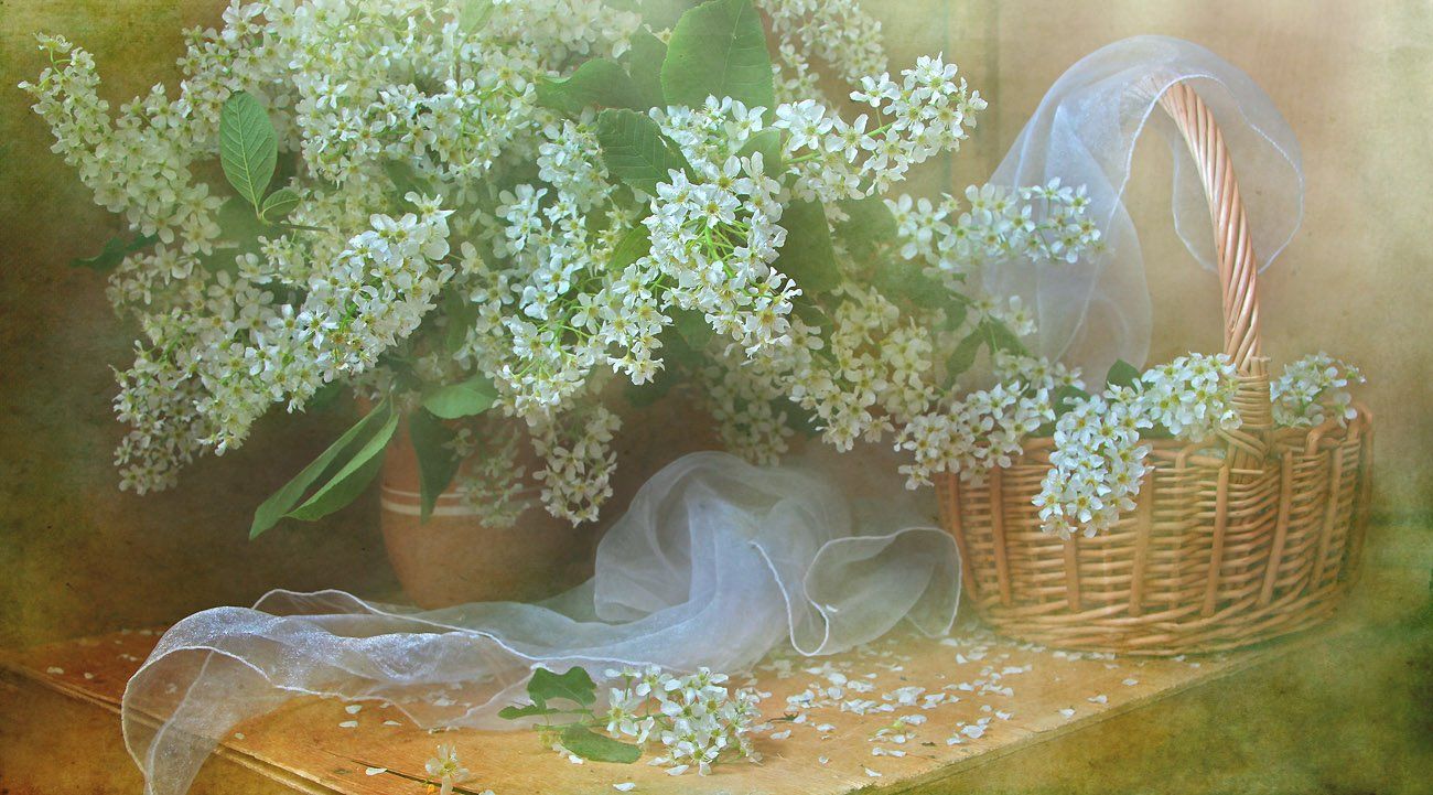 цветы, натюрморт, Svetlana Ра