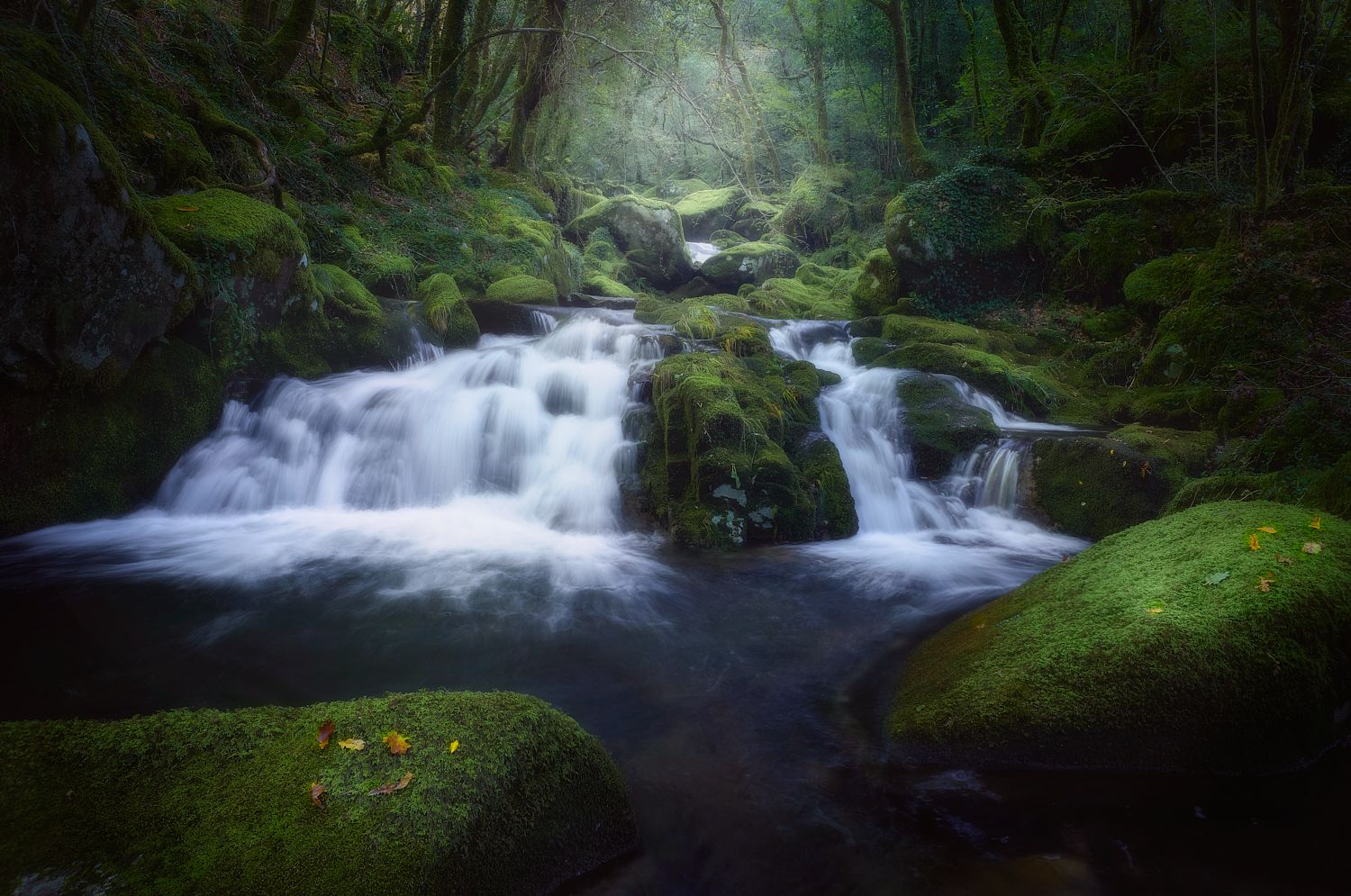 river water waterfall green stone spring mood wood forest wooden enchanted, SORAYA SAMPEDRO