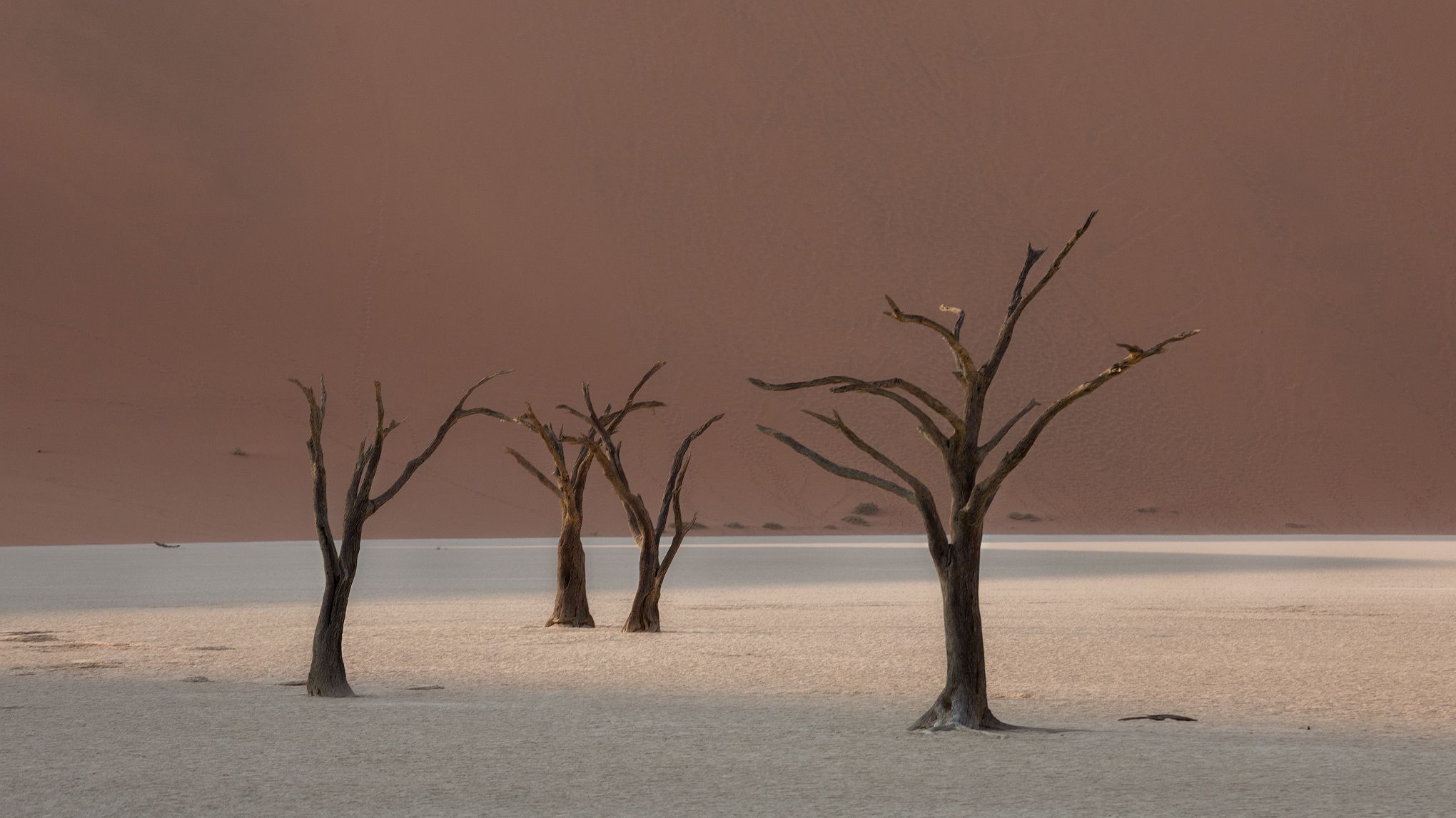  #Deadvley Valley #Valley #namibia #africa #duna #tree #дедвлей  #африка  #деревья  #намибия #дюна #песок #мертвые деревья, Наталия Деркач