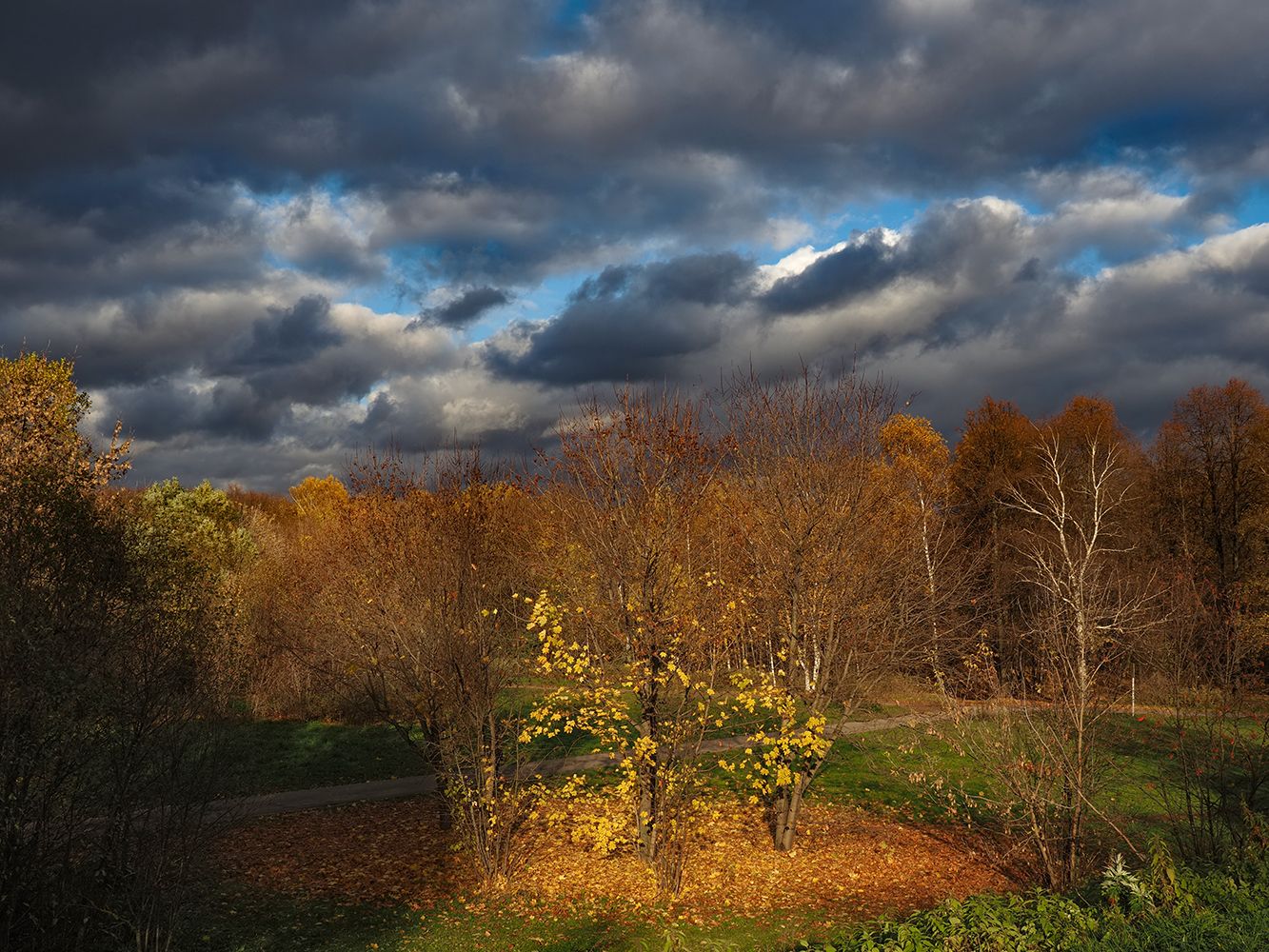 осень, желтые листья, Сергей Духанин
