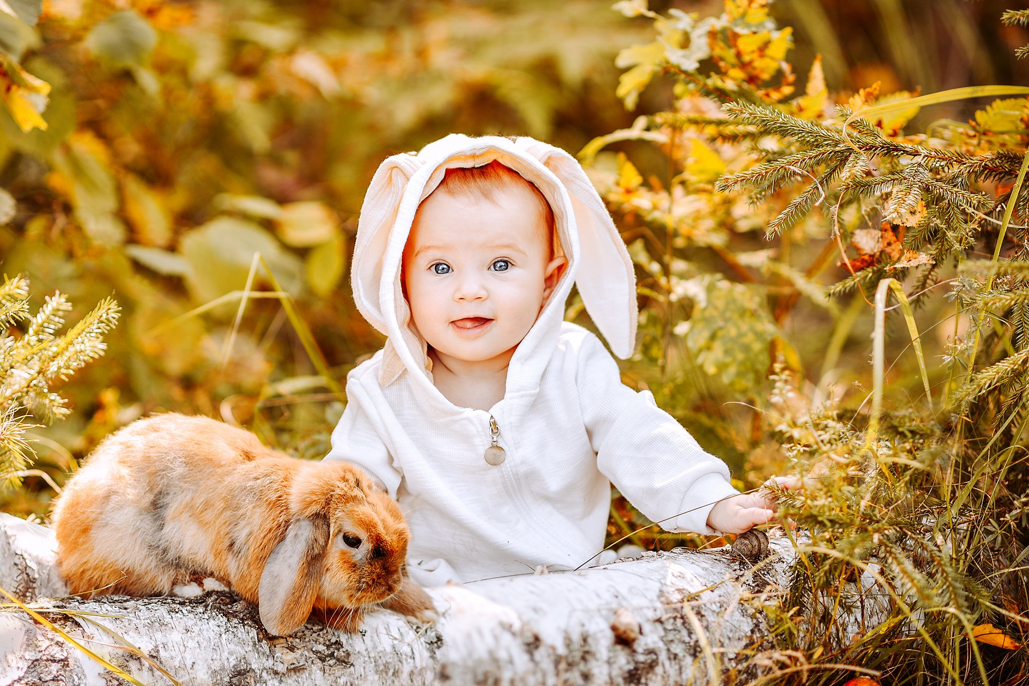 Дети лес кролик яркая осень фотосессия с животными, Анастасия Алексеева