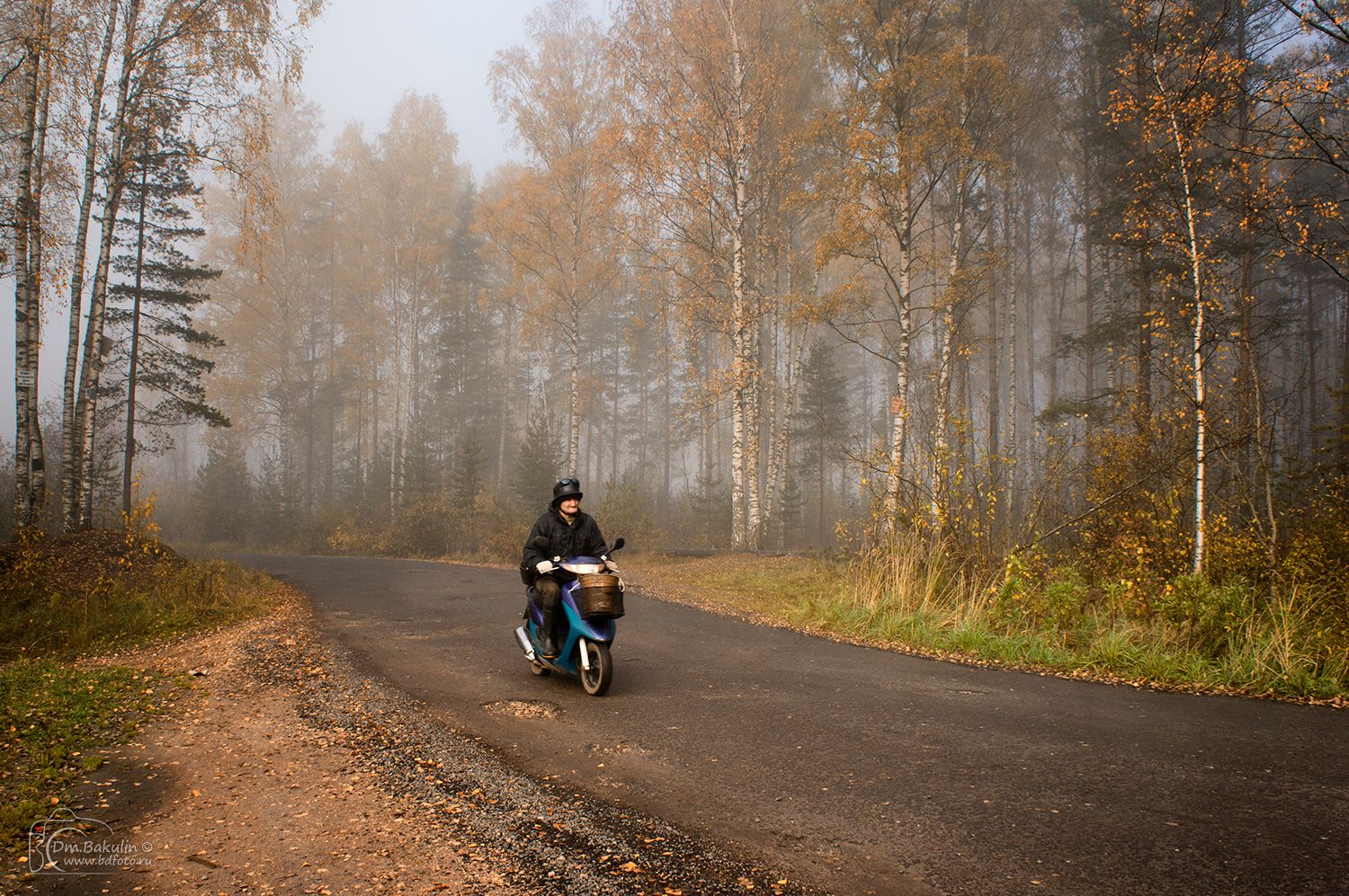 ленобласть, туман, Дмитрий Бакулин