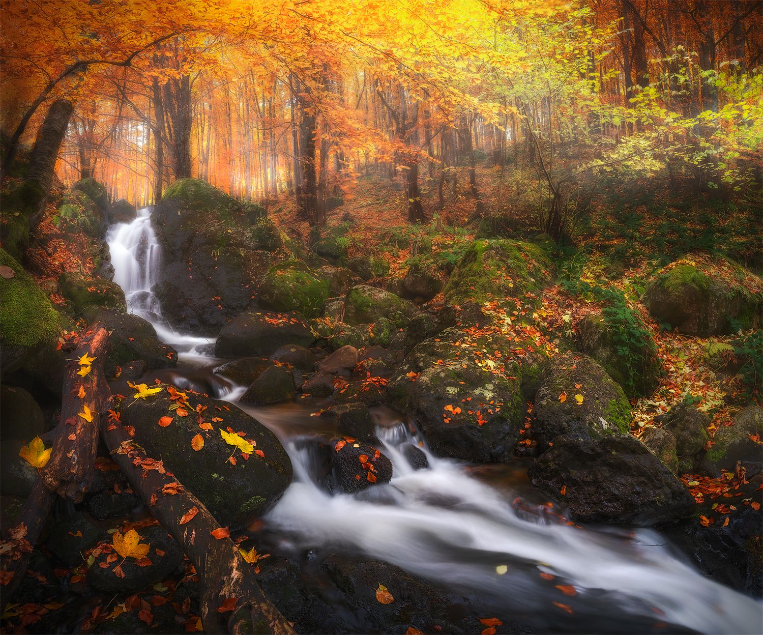 landscape nature scenery forest wood autumn mist river waterfall colors leaves mountain vitosha bulgaria лес, Александър Александров