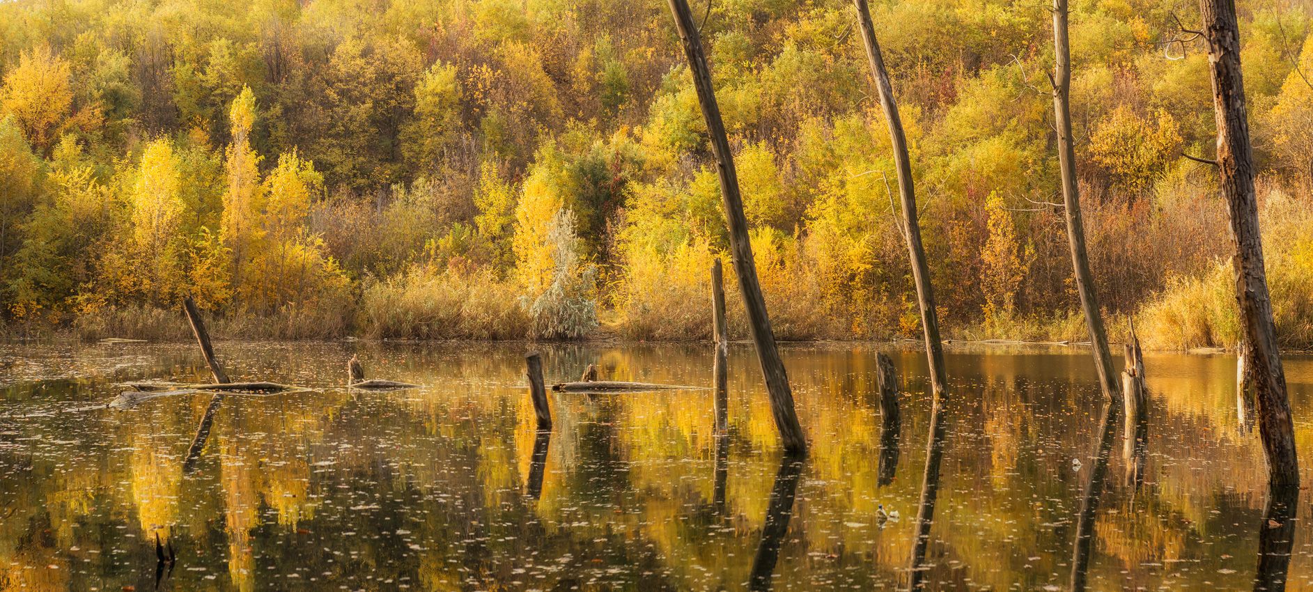 , Игорь Мелекесцев