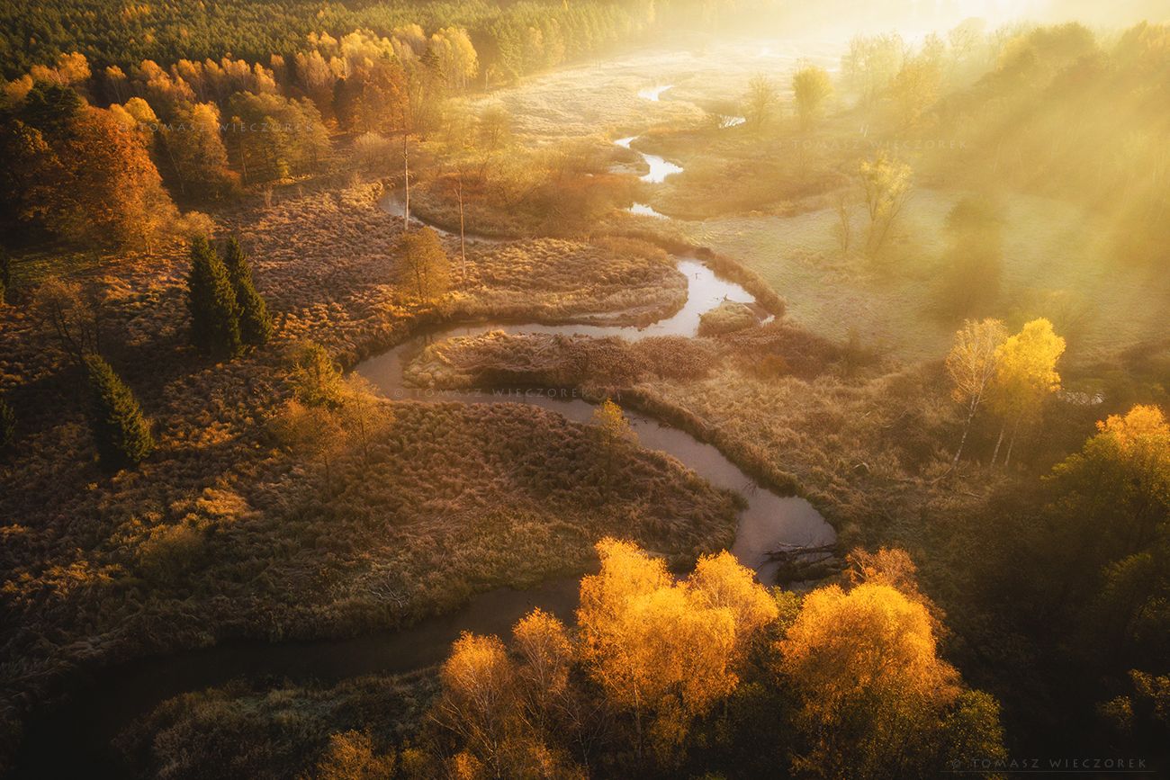 landscape, poland, light, autumn, awesome, amazing, sunrise, sunset, lovely, nature, travel, drone, trees, orange, shadows, dji, river, colors, Tomasz Wieczorek