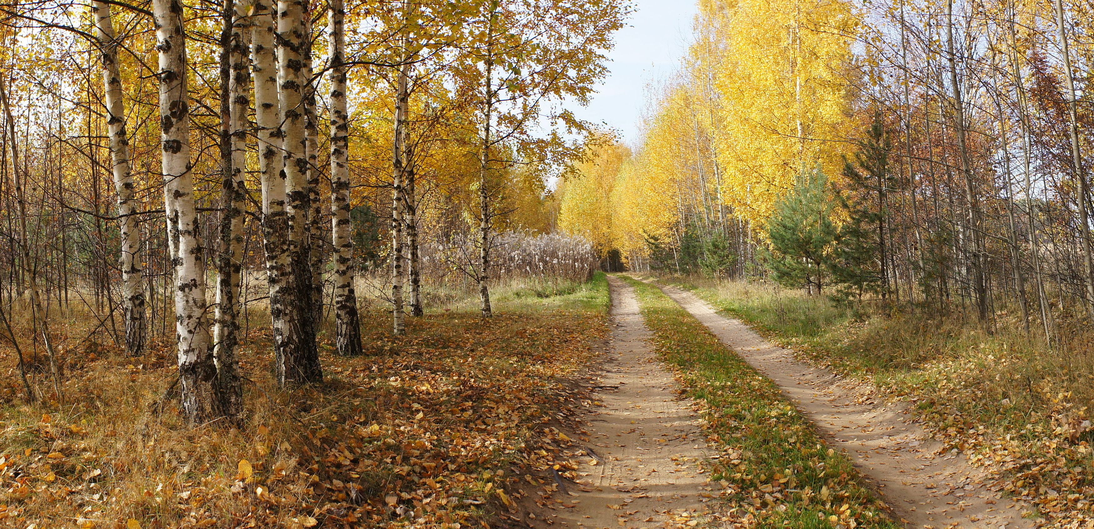 Осень, Борис Риганов