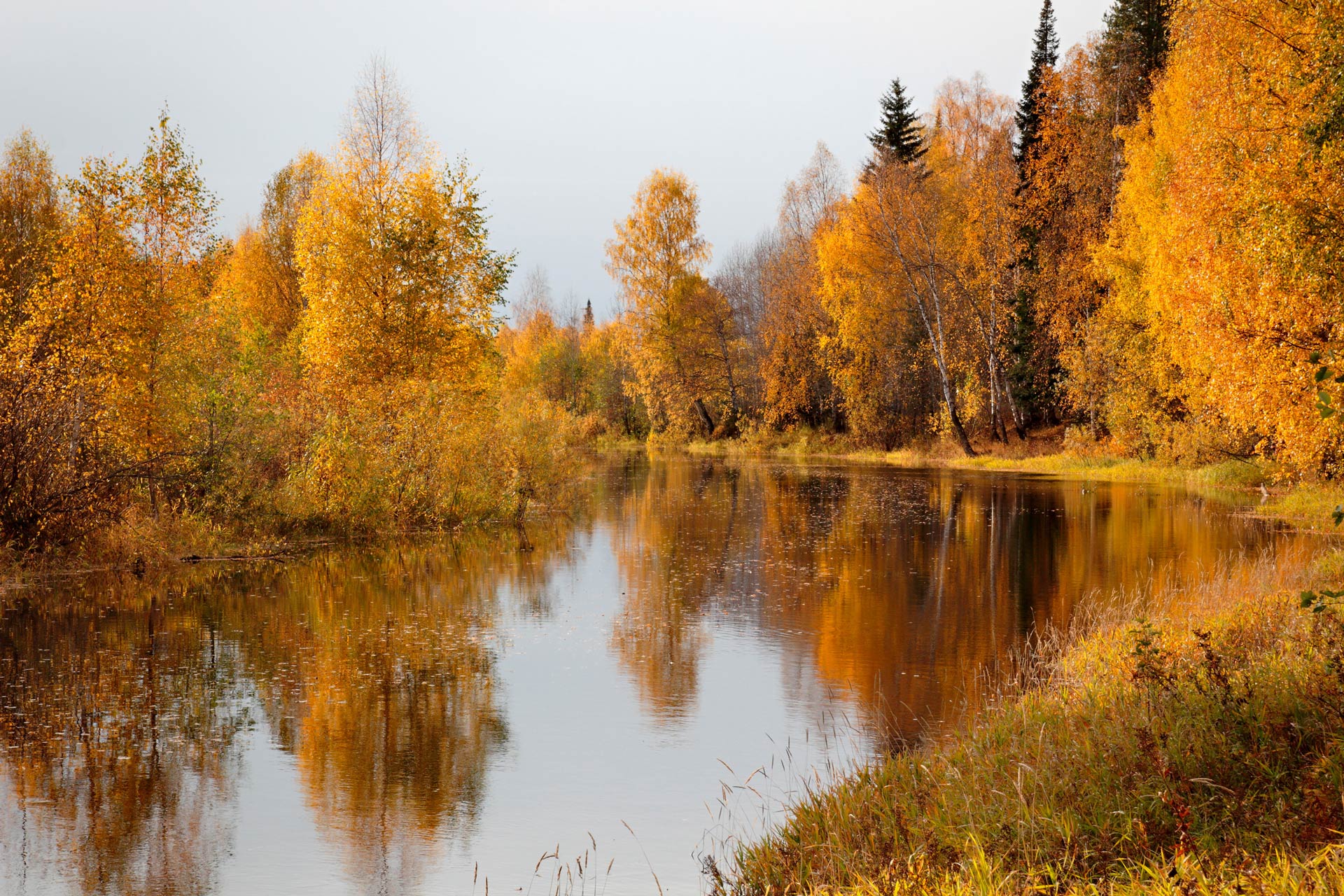 Пейзажи Луганска осень