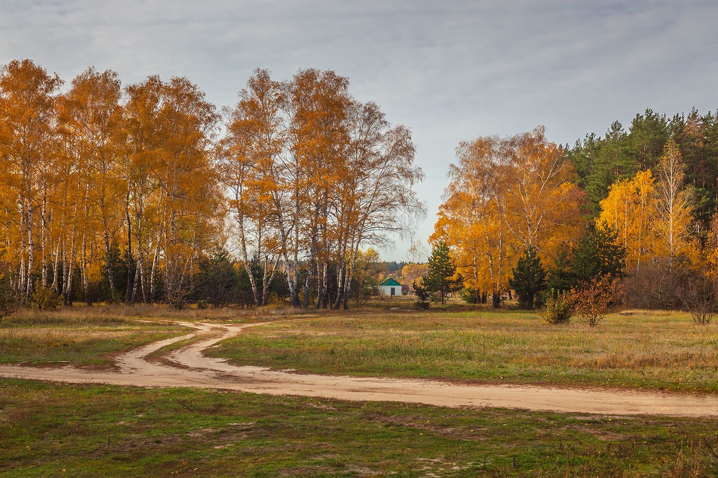 осень, октябрь, Руслан Востриков