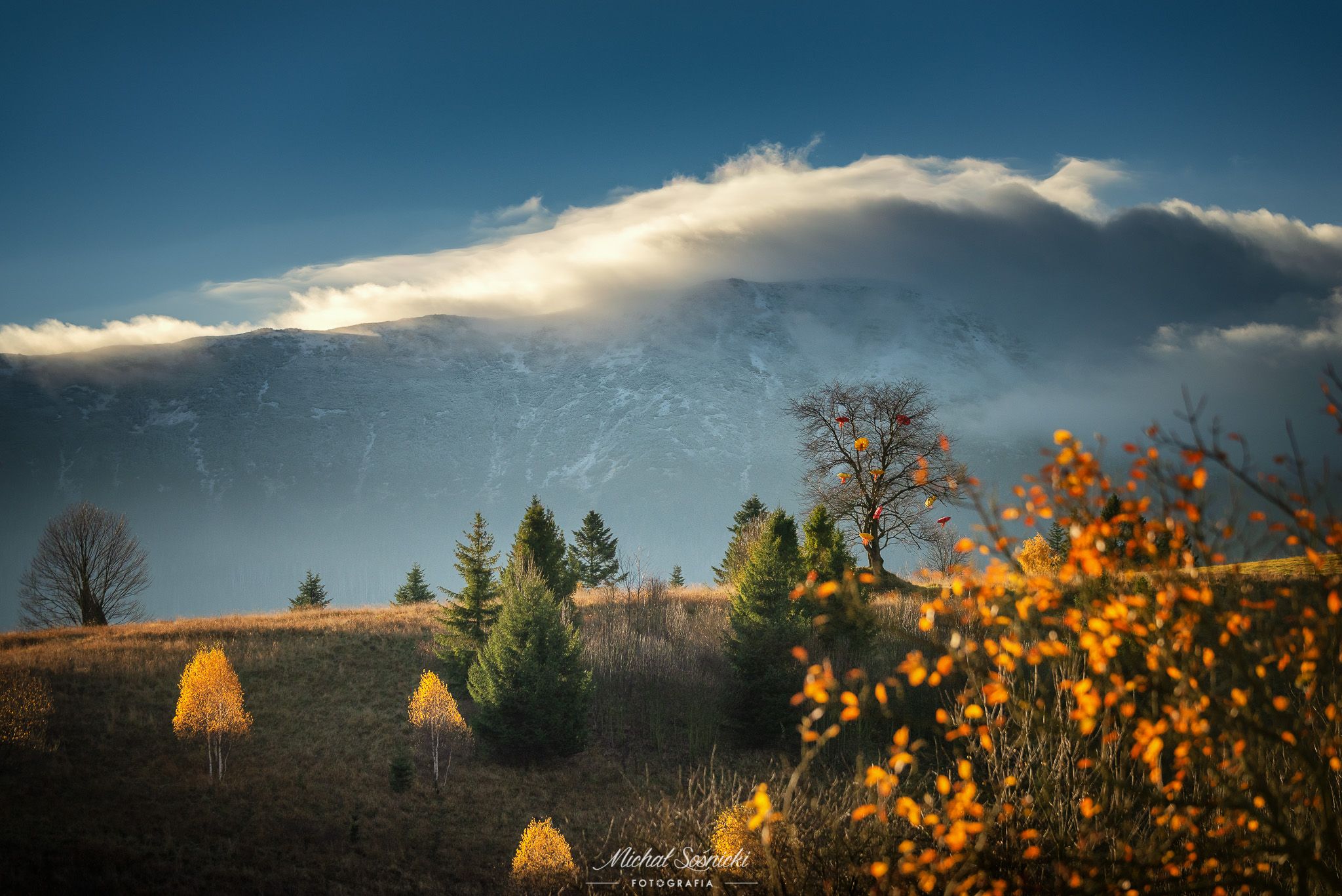 #poland #zawoja #mountains #clouds #cloudy #autumn #sky #tree #trees #best #nature, Michał Sośnicki