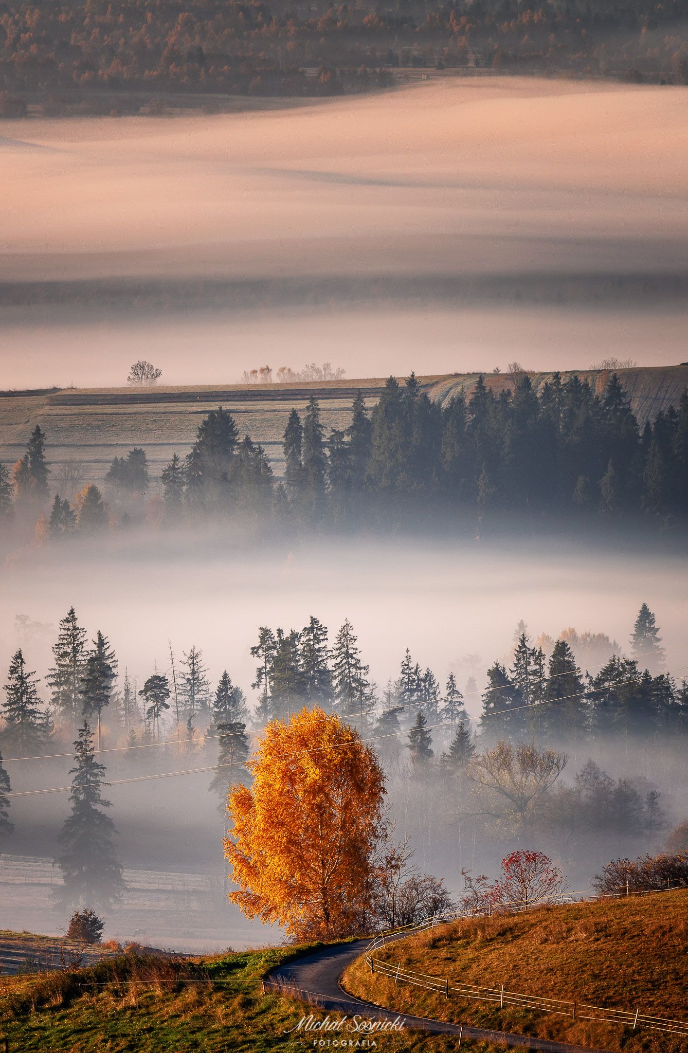 #poland #podhale #mountains #clouds #cloudy #autumn #sky #tree #trees #best #nature, Michał Sośnicki
