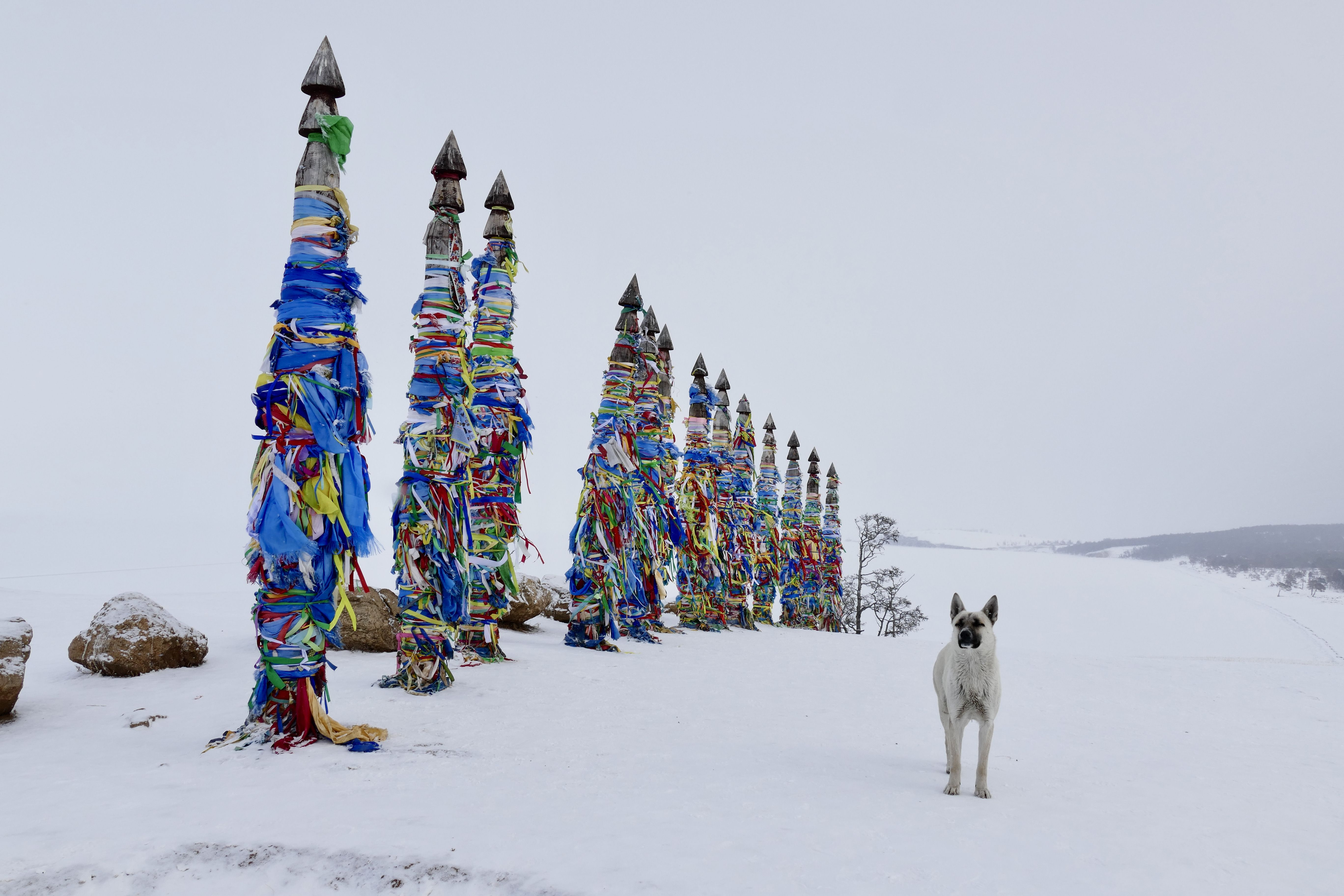 Street/Reportage, Lake Baikal, snow, Olkhon, Siberia, shamanism, buryat, Khuzhir, serges, Russia, dog, animals, cold, , Svetlana Povarova Ree